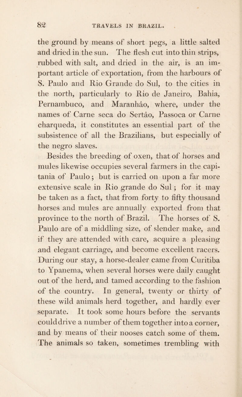 the ground by means of short pegs, a little salted and dried in the sun. The flesh cut into thin strips, rubbed with salt, and dried in the air, is an im¬ portant article of exportation, from the harbours of S. Paulo and Rio Grande do Sul, to the cities in the north, particularly to Rio de Janeiro, Bahia, Pernambuco, and Maranhao, where, under the names of Carne seca do Sertao, Passoca or Carne charqueda, it constitutes an essential part of the subsistence of all the Brazilians, but especially of the negro slaves. Besides the breeding of oxen, that of horses and mules likewise occupies several farmers in the capi- tania of Paulo; but is carried on upon a far more extensive scale in Rio grande do Sul; for it may be taken as a fact, that from forty to fifty thousand horses and mules are annually exported from that province to the north of Brazil. The horses of S. Paulo are of a middling size, of slender make, and if they are attended with care, acquire a pleasing and elegant carriage, and become excellent racers. During our stay, a horse-dealer came from Curitiba to Ypanema, when several horses were daily caught out of the herd, and tamed according to the fashion of the country. In general, twenty or thirty of these wild animals herd together, and hardly ever separate. It took some hours before the servants coulddrive a number of them together into a corner, and by means of their nooses catch some of them. The animals so taken, sometimes trembling with