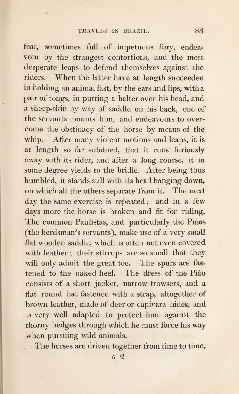 fear, sometimes full of impetuous fury, endea¬ vour by the strangest contortions, and the most desperate leaps to defend themselves against the riders. When the latter have at length succeeded in holding an animal fast, by the ears and lips, with a pair of tongs, in putting a halter over his head, and a sheep-skin by way of saddle on his back, one of the servants mounts him, and endeavours to over¬ come the obstinacy of the horse by means of the whip. After many violent motions and leaps, it is at length so far subdued, that it runs furiously away with its rider, and after a long course, it in some degree yields to the bridle. After being thus humbled, it stands still with its head hanging down, on which all the others separate from it. The next day the same exercise is repeated; and in a few days more the horse is broken and fit for riding. The common Paulistas, and particularly the Piaos (the herdsman’s servants), make use of a very small flat wooden saddle, which is often not even covered with leather ; their stirrups are so small that they will only admit the great toe, The spurs are fas¬ tened to the naked heel. The dress of the Piao consists of a short jacket, narrow trowsers, and a flat round hat fastened with a strap, altogether of brown leather, made of deer or capivara hides, and is very well adapted to protect him against the thorny hedges through which he must force his way when pursuing wild animals. The horses are driven together from time to time,