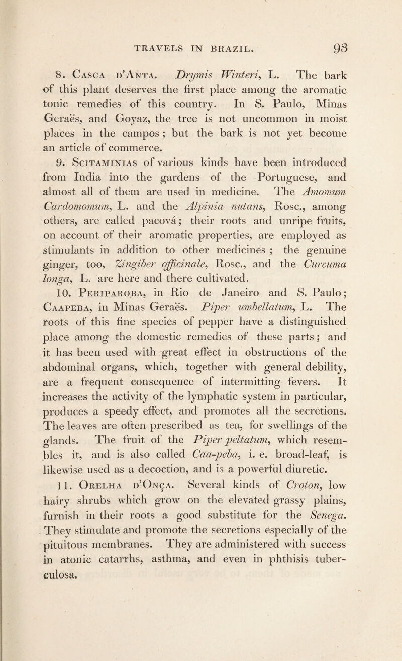 8. Casca d’Anta. Drymis Winter?', L. The bark of this plant deserves the first place among the aromatic tonic remedies of this country. In S. Paulo, Minas Geraes, and Goyaz, the tree is not uncommon in moist places in the campos ; but the bark is not yet become an article of commerce. 9. Scitaminias of various kinds have been introduced from India into the gardens of the Portuguese, and almost all of them are used in medicine. The Amomum Cardomomum, L. and the Alpinia nutans, Rose., among others, are called pacova; their roots and unripe fruits, on account of their aromatic properties, are employed as stimulants in addition to other medicines ; the genuine ginger, too, Zingiber officinale, Rose., and the Curcuma longa, L. are here and there cultivated. 10. Periparoba, in Rio de Janeiro and S. Paulo; Caapeba, in Minas Geraes. Piper umbellatum, L. The roots of this fine species of pepper have a distinguished place among the domestic remedies of these parts; and it has been used with great effect in obstructions of the abdominal organs, which, together with general debility, are a frequent consequence of intermitting fevers. It increases the activity of the lymphatic system in particular, produces a speedy effect, and promotes all the secretions. The leaves are often prescribed as tea, for swellings of the glands. The fruit of the Piper peltatum, which resem¬ bles it, and is also called Caci-peba, i. e. broad-leaf, is likewise used as a decoction, and is a powerful diuretic. 3 1. Grelha d’On^a. Several kinds of Croton, low hairy shrubs which grow on the elevated grassy plains, furnish in their roots a good substitute for the Senega. They stimulate and promote the secretions especially of the pituitous membranes. They are administered with success in atonic catarrhs, asthma, and even in phthisis tuber¬ culosa.