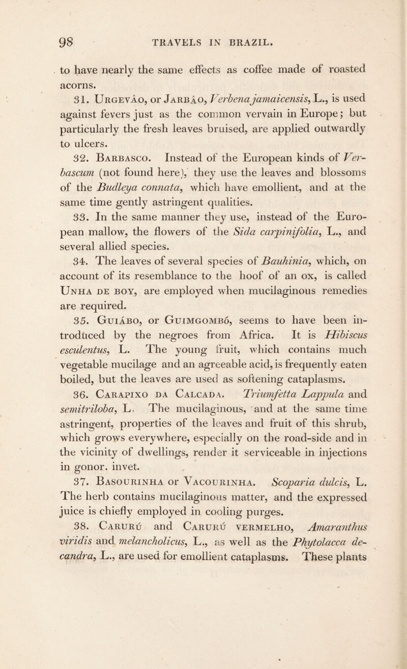 to have nearly the same effects as coffee made of roasted acorns. 31. Urgevao, or JarbAo, Verbenajamaiceiisis, L., is used against fevers just as the common vervain in Europe; but particularly the fresh leaves bruised, are applied outwardly to ulcers. 32. Barbasco. Instead of the European kinds of Ver- bascum (not found here), they use the leaves and blossoms of the Budleya connata, which have emollient, and at the same time gently astringent qualities. 33. In the same manner they use, instead of the Euro¬ pean mallow, the flowers of the Sida carpinifolia, L., and several allied species. 34. The leaves of several species of Bauhinia, which, on account of its resemblance to the hoof of an ox, is called Unha de boy, are employed when mucilaginous remedies are required. 35. Guiabo, or Guimgombo, seems to have been in¬ troduced by the negroes from Africa. It is Hibiscus esculentus, L. The young fruit, which contains much vegetable mucilage and an agreeable acid, is frequently eaten boiled, but the leaves are used as softening cataplasms. 36. Carapixo jda Calcada. Triumfetta JLappula and semitriloba, L. The mucilaginous, and at the same time astringent, properties of the leaves and fruit of this shrub, which grows everywhere, especially on the road-side and in the vicinity of dwellings, render it serviceable in injections in gonor. invet. 37. Basourinha or Vacourinha. Scoparia dulcis, L. The herb contains mucilaginous matter, and the expressed juice is chiefly employed in cooling purges. 38. Caruru and Caruru vermelho, Amaraiithus viridis and melancholicus, L., as well as the Phytolacca de- candra, L., are used for emollient cataplasms. These plants