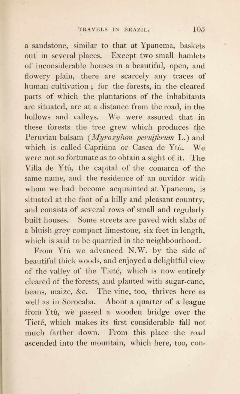 a sandstone, similar to that at Ypanema, baskets out in several places. Except two small hamlets of inconsiderable houses in a beautiful, open, and flowery plain, there are scarcely any traces of human cultivation ; for the forests, in the cleared parts of which the plantations of the inhabitants are situated, are at a distance from the road, in the hollows and valleys. We were assured that in these forests the tree grew which produces the Peruvian balsam (Myroxylum peruiferum L.) and which is called Capriuna or Casca de Ytu. We were not so fortunate as to obtain a sight of it. The Villa de Ytu, the capital of the comarca of the same name, and the residence of an ouvidor with whom we had become acquainted at Ypanema, is situated at the foot of a hilly and pleasant country, and consists of several rows of small and regularly built houses. Some streets are paved with slabs of a bluish grey compact limestone, six feet in length, which is said to be quarried in the neighbourhood. From Ytu we advanced N.W. by the side of beautiful thick woods, and enjoyed a delightful view of the valley of the Tiete, which is now entirely cleared of the forests, and planted with sugar-cane, beans, maize, &c. The vine, too, thrives here as well as in Sorocaba. About a quarter of a league from Ytu, we passed a wooden bridge over the Tiete, which makes its first considerable fall not much farther down. From this place the road ascended into the mountain, which here, too, con-