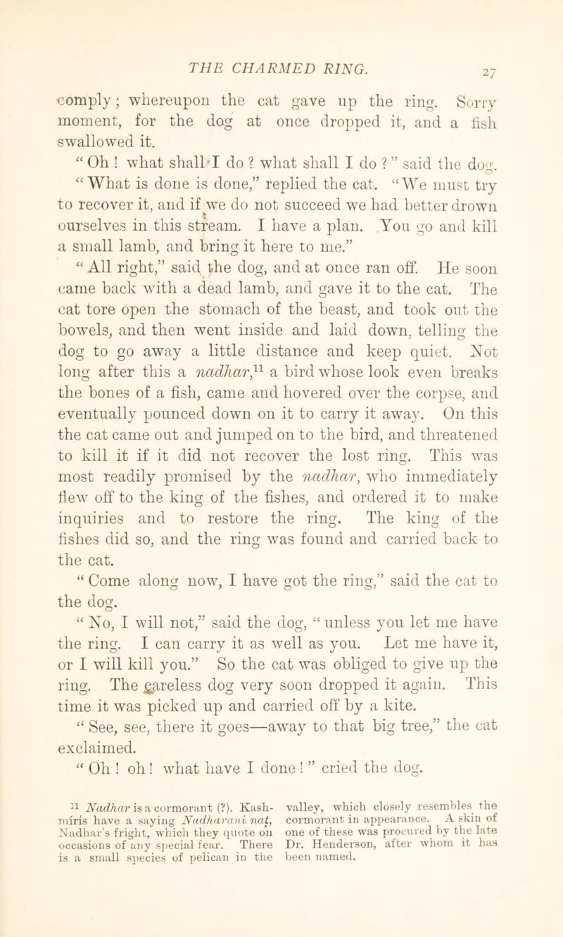 27 •comply; whereupon the cat gave up the ring. Sony moment, for the dog at once dropped it, and a lish swallowed it. “ Oh ! what shalM do ? what shall I do ? ” said the do‘>-. O ‘'What is done is done,” replied the cat. “We must try to recover it, and if ^we do not succeed we had better drown ourselves in this stream. I have a plan. You go and kill a small lamb, and bring it here to me.” “All right,” said the dog, and at once ran off. He soon came back with a dead lamb, and gave it to the cat. The cat tore open the stomach of the beast, and took out tlie bowels, and then went inside and laid down, tellino- the dog to go away a little distance and keep quiet. Not long after this a nadhar}'^ a bird whose look even breaks the bones of a fish, came and hovered over the corpse, and eventually pounced down on it to carry it away. On this the cat came out and jumped on to the bird, and threatened to kill it if it did not recover the lost ring. This was most readily promised by the nadhar, who immediately dew off to the king of the fishes, and ordered it to make inquiries and to restore the ring. The king of the fishes did so, and the ring was found and carried back to the cat. “ Come along now, I have got the ring,” said the cat to the dog. “No, I will not,” said the dog, “ unless you let me have the ring. I can carry it as well as you. Let me have it, or I will kill you.” So the cat was obliged to give up the ring. The ^areless dog very soon dropped it again. This time it was picked up and carried off by a kite. “ See, see, there it goes—away to that big tree,” the cat exclaimed. “ Oh ! oh! what have I done ! ” cried the dog. iVacZ^a?'is a cormorant (?). Kash- valley, which closely resembles the miris have a saying Nadhar a iii nat, cormorant in appearance. A skin of Naclhar’s fright, which they quote on one of these was procured by the late occasions of any special fear. There Dr. Henderson, after Avhorn it has is a small species of pelican in the Ijeen named.