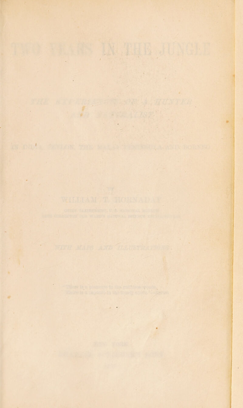 / ' . . ■ ■ ■ . . . - t .1 . . | . .]