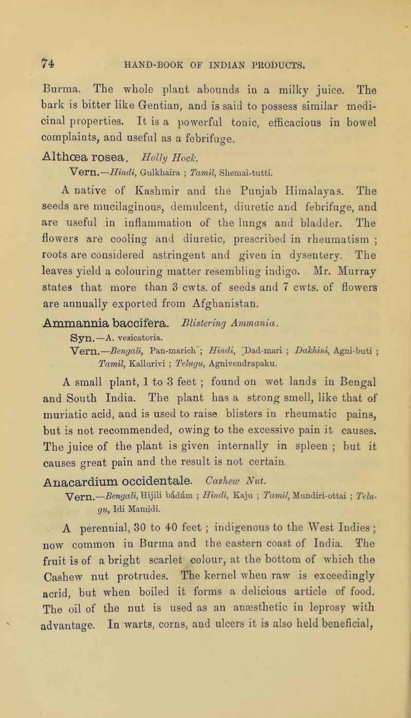 Burma. The whole plant abounds in a milky juice. The bark is bitter like Gentian, and is said to possess similar medi- cinal properties. It is a powerful tonic, efficacious in bowel complaints, and useful as a febrifuge. Althoea rosea, Hollu Hock. Vern.—Hindi, Gulkhaira ; Tamil, Shemai-tutti. A native of Kashmir and the Punjab Himalayas. The seeds are mucilaginous, demulcent, diuretic and febrifuge, and are useful in inflammation of the lungs and bladder. The flowers are cooling and diuretic, prescribed in rheumatism ; roots are considered astringent and given in dysentery. The leaves yield a colouring matter resembling indigo. Mr. Murray states that more than 3 cvvts. of seeds and 7 cwts. of flowers are annually exported from Afghanistan. Ammannia baccifera. Blistering Ammania. Syn.—A. vesicatoria. Vern.—Bengali, Pan-marich'; Hindi, '_Dad-mari ; Dakhini, Agui-buti ; Tamil, Kalhirivi ; Telugu, Agnivendrapaku. A small plant, 1 to 3 feet ; found on wet lands in Bengal and South India. The plant has a strong smell, like that of muriatic acid, and is used to raise blisters in rheumatic pains, but is not recommended, owing to the excessive pain it causes. The juice of the plant is given internally in spleen ; but it causes great pain and the result is not certain. Anacardium occidental©. Cashew Nut. Vern.—Bengali, Hijili bdddm ; Hindi, Kaju ; Tamil, Mundiri-ottai ; Telu- gu, Idi Mamidi. A perennial, 30 to 40 feet; indigenous to the West Indies ; now common in Burma and the eastern coast of India. The fruit is of a bright scarlet colour, at the bottom of which the Cashew nut protrudes. The kernel when raw is exceedingly acrid, but when boiled it forms a delicious article of food. The oil of the nut is used as an anajsthetic in leprosy with advantage. In warts, corns, and ulcers it is also held beneficial.