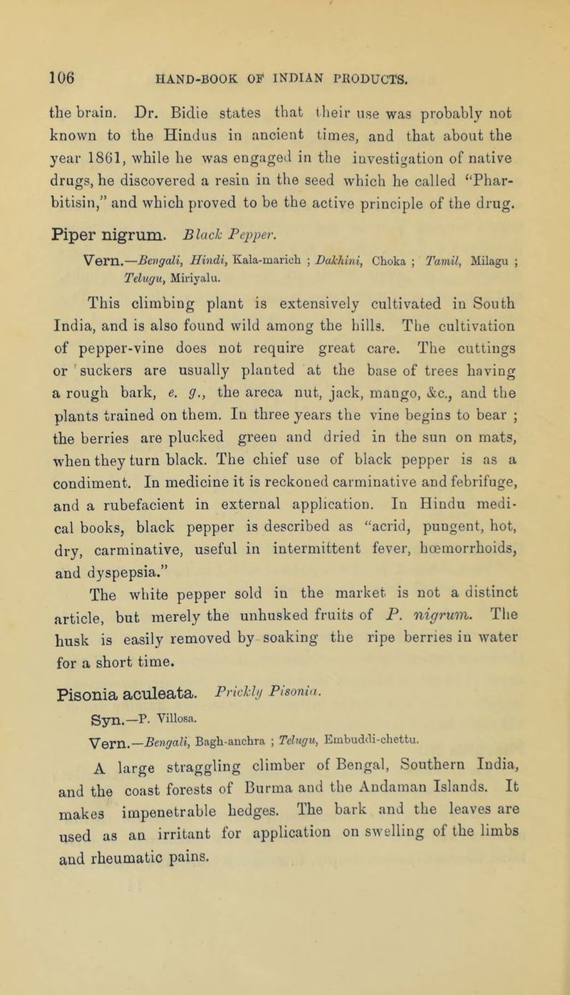 the brain. Dr. Bidie states that their use was probably not known to the Hindus in ancient limes, and that about the year 1861, while he was engaged in the investigation of native drugs, he discovered a resin in the seed which he called “Phar- bitisin,” and which proved to be the active principle of the drug. Piper nigrum. Black Pepper. Vern.—Bengali, Hindi, Kala-maricli ; Bakhini, Choka ; Tamil, Milagu ; Telugu, Miriyalu. This climbing plant is extensively cultivated in South India, and is also found wild among the hills. The cultivation of pepper-vine does not require great care. The cuttings or 'suckers are usually planted at the base of trees having a rough bark, e. g., the areca nut, jack, mango, &c., and the plants trained on them. In three years the vine begins to bear ; the berries are plucked green and dried in the sun on mats, when they turn black. The chief use of black pepper is as a condiment. In medicine it is reckoned carminative and febrifuge, and a rubefacient in external application. In Hindu medi- cal books, black pepper is described as “acrid, pungent, hot, dry, carminative, useful in intermittent fever, hoemorrhoids, and dyspepsia.” The white pepper sold in the market is not a distinct article, but merely the unhusked fruits of P. nigruTV. The husk is easily removed by soaking the ripe berries in water for a short time. Pisonia aciileata. Pricklg Pisonia. S3ni.—P. Villosa. 'SIevn.—Bengali, Bagli-auchra ; Telugu, Embuddi-chettu. A large straggling climber of Bengal, Southern India, and the coast forests of Burma and the Andaman Islands. It makes impenetrable hedges. The bark and the leaves are used as an irritant for application on swelling of the limbs and rheumatic pains.