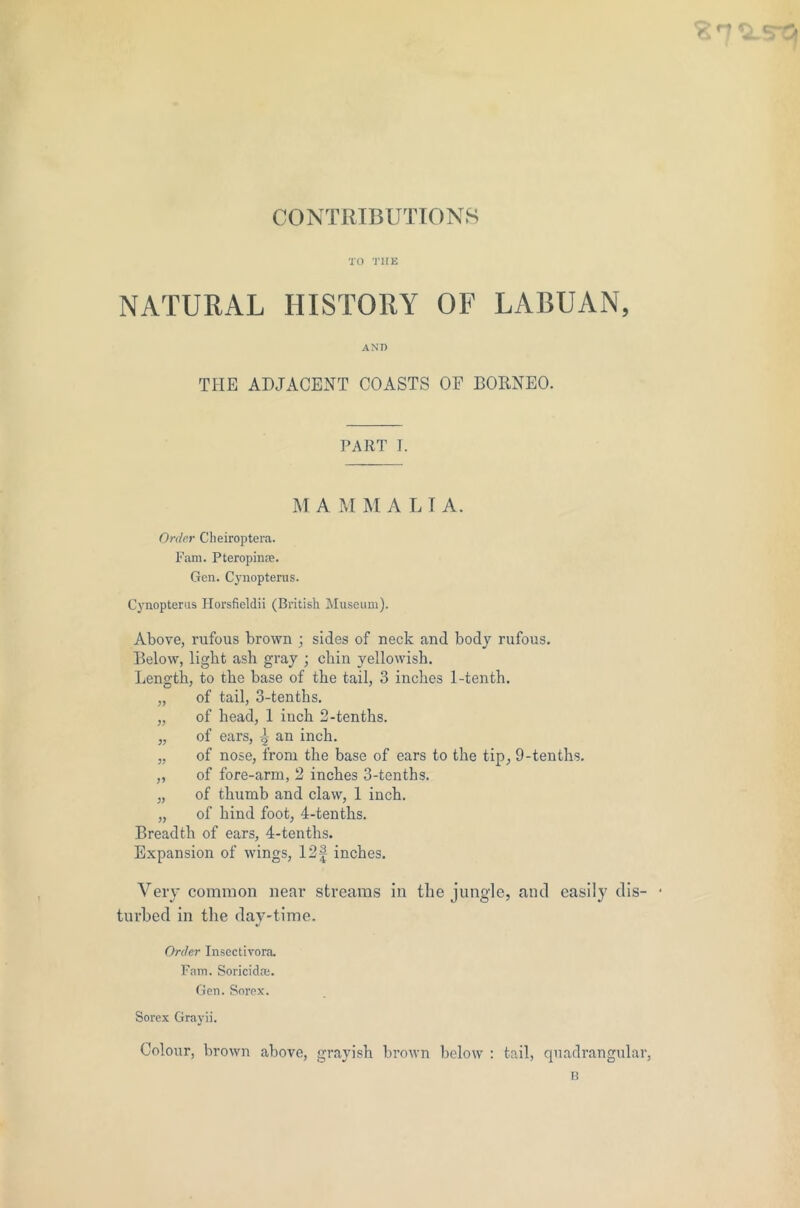 f rt CONTRIBUTIONS TO T1IE NATURAL HISTORY OF LABUAN, AND THE ADJACENT COASTS OF BORNEO. PART I. M AMMALI A. Order Cheiroptera. Fam. Pteropinee. Gen. Cynopterus. Cynopterus Horsfieldii (British Museum). Above, rufous brown ; sides of neck and body rufous. Below, light ash gray ; chin yellowish. Length, to the base of the tail, 3 inches 1-tenth. „ of tail, 3-tenths. „ of head, 1 inch 2-tenths. „ of ears, ^ an inch. „ of nose, from the base of ears to the tip, 9-tenths. „ of fore-arm, 2 inches 3-tenths. „ of thumb and claw, 1 inch. „ of hind foot, 4-tenths. Breadth of ears, 4-tenths. Expansion of wings, 12f inches. Very common near streams in the jungle, and easily dis- turbed in the day-time. Order Insectivora. Fam. Soricidw. Gen. Sorex. Sorex Grayii. Colour, brown above, grayish brown below : tail, quadrangular, B