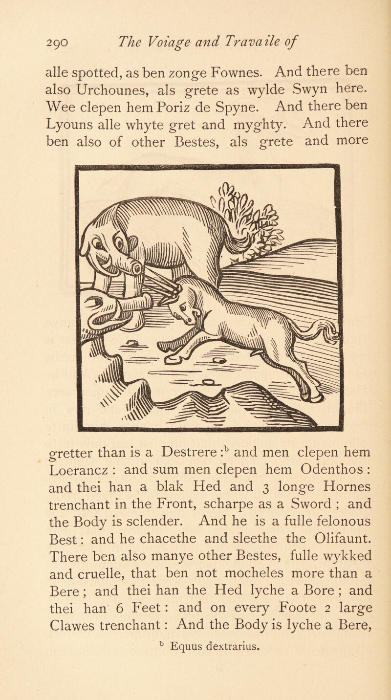 alle spotted, as ben zonge Fownes. And there ben also Urchounes, als grete as wylde Swyn here. Wee clepen hem Poriz de Spyne. And there ben Lyouns alle whyte gret and myghty. And there ben also of other Bestes, als grete and more gretter than is a Destrere P and men clepen hem Loerancz : and sum men clepen hem Odenthos : and thei han a blak Hed and 3 longe Hornes trenchant in the Front, scharpe as a Sword ; and the Body is sclender. And he is a fulle felonous Best: and he chacethe and sleethe the Olifaunt. There ben also manye other Bestes, fulle wykked and cruelle, that ben not mocheles more than a Bere ; and thei han the Hed lyche a Bore ; and thei han' 6 Feet: and on every Foote 2 large Clawes trenchant: And the Body is lyche a Bere, ^ Equus dextrarius.