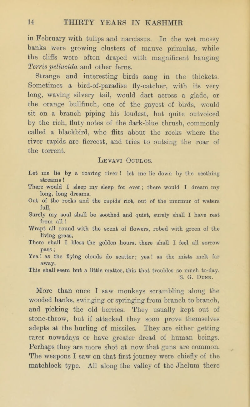 in February with tulips and narcissus. In the wet mossy banks were growing clusters of mauve primulas, while the cliffs were often draped with magnificent hanging Terris pellucicla and other ferns. Strange and interesting birds sang in the thickets. Sometimes a bird-of-paradise fly-catcher, with its very long, waving silvery tail, would dart across a glade, or the orange bullfinch, one of the gayest of birds, wrould sit on a branch piping his loudest, but quite outvoiced by the rich, fluty notes of the dark-blue thrush, commonly called a blackbird, who flits about the rocks where the river rapids are fiercest, and tries to outsing the roar of the torrent. Levavi Oculos. Let me lie by a roaring river ! let me lie down by the seething streams ! There would I sleep my sleep for ever; there would I dream my long, long dreams. Out of the rocks and the rapids’ riot, out of the murmur of waters full, Surely my soul shall be soothed and quiet, surely shall I have rest from all! Wrapt all round with the scent of flowers, robed with green of the living grass, There shall I bless the golden hours, there shall I feel all sorrow pass ; Yea 1 as the flying clouds do scatter; yea! as the mists melt far away, This shall seem but a little matter, this that troubles so much to-day. S. G. Dunn. More than once I saw monkeys scrambling along the wooded banks, swinging or springing from branch to branch, and picking the old berries. They usually kept out of stone-throw, but if attacked they soon prove themselves adepts at the hurling of missiles. They are either getting rarer nowadays or have greater dread of human beings. Perhaps they are more shot at now that guns are common. The weapons I saw on that first journey were chiefly of the matchlock type. All along the valley of the Jhelum there