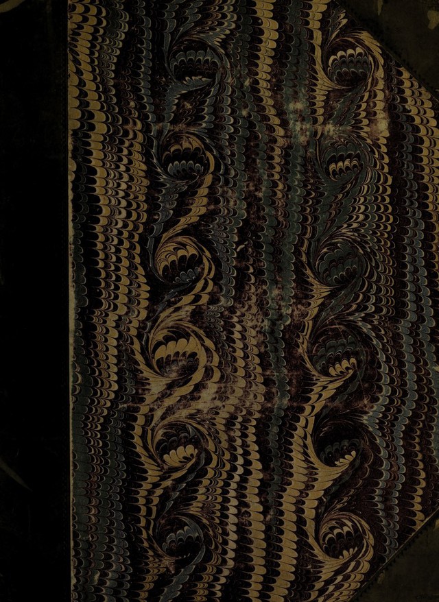 No text description is available for this image