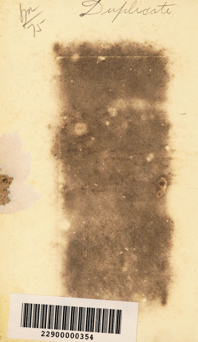 digitised image 2
