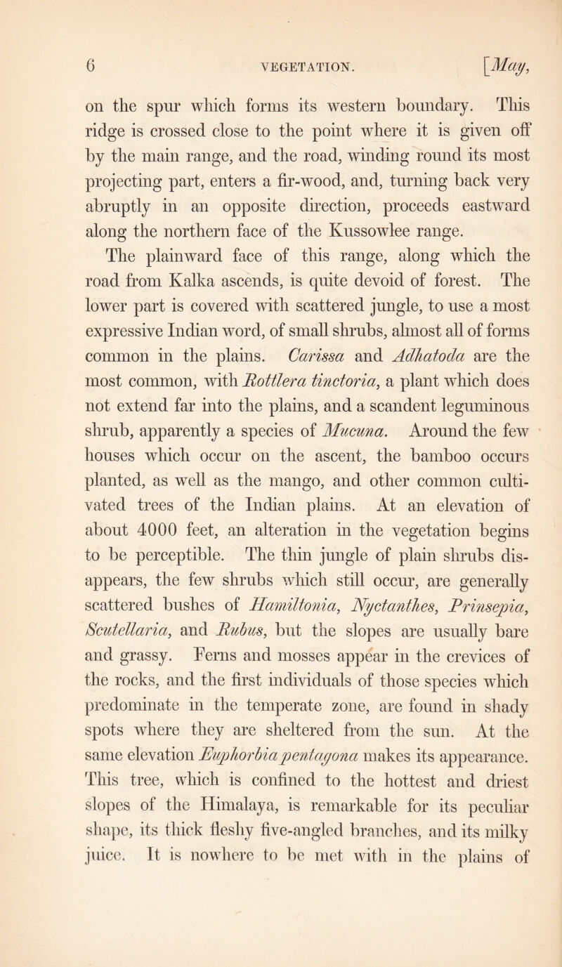 on the spur which forms its western boundary. This ridge is crossed close to the point where it is given off by the main range, and the road, winding round its most projecting part, enters a fir-wood, and, turning back very abruptly in an opposite direction, proceeds eastward along the northern face of the Kussowlee range. The plainward face of this range, along which the road from Kalka ascends, is quite devoid of forest. The lower part is covered with scattered jungle, to use a most expressive Indian word, of small shrubs, almost all of forms common in the plains. Carissa and Adhatoda are the most common, with Bottlera tinctoria, a plant which does not extend far into the plains, and a scandent leguminous shrub, apparently a species of Mucuna. Around the few houses which occur on the ascent, the bamboo occurs planted, as well as the mango, and other common culti- vated trees of the Indian plains. At an elevation of about 4000 feet, an alteration in the vegetation begins to be perceptible. The thin jungle of plain shrubs dis- appears, the few shrubs which still occur, are generally scattered bushes of Hamiltonia, Nyctanthes, Br insepia, Scutellaria, and Bubus, but the slopes are usually bare and grassy. Terns and mosses appear in the crevices of the rocks, and the first individuals of those species which predominate in the temperate zone, are found in shady spots where they are sheltered from the sun. At the same elevation Euphorbia pentagona makes its appearance. This tree, which is confined to the hottest and driest slopes of the Himalaya, is remarkable for its peculiar shape, its thick fleshy five-angled branches, and its milky juice. It is nowhere to be met with in the plains of