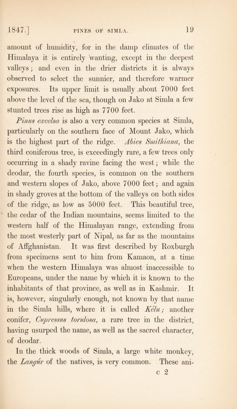 amount of humidity, for in the damp climates of the Himalaya it is entirely wanting, except in the deepest valleys; and even in the drier districts it is always observed to select the sunnier, and therefore warmer exposures. Its upper limit is usually .about 7000 feet above the level of the sea, though on Jako at Simla a few stunted trees rise as high as 7700 feet. Finns eoccelsa is also a very common species at Simla, particularly on the southern face of Mount Jako, which is the highest part of the ridge. Abies Smithiana, the third coniferous tree, is exceedingly rare, a few trees only occurring in a shady ravine facing the west; while the deodar, the fourth species, is common on the southern and western slopes of Jako, above 7000 feet; and again in shady groves at the bottom of the valleys on both sides of the ridge, as low as 5000 feet. This beautiful tree, the cedar of the Indian mountains, seems limited to the western half of the Himalayan range, extending from the most westerly part of Nipal, as far as the mountains of Affghanistan, It was first described by Roxburgh from specimens sent to him from Kamaon, at a time when the western Himalaya was almost inaccessible to Europeans, under the name by which it is known to the inhabitants of that province, as well as in Kashmir. It is, however, singularly enough, not known by that name in the Simla hills, where it is called Kelu; another conifer, Cnpressus torulosa, a rare tree in the district, having usurped the name, as well as the sacred character, of deodar. In the thick woods of Simla, a large white monkey, the Langur of the natives, is very common. These ani- c 2