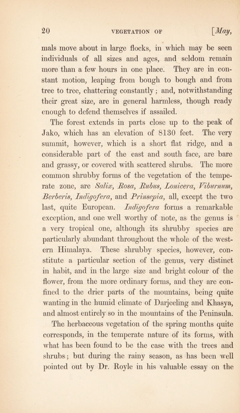 mals move about in large flocks, in which may be seen individuals of all sizes and ages, and seldom remain more than a few horns in one place. They are in con- stant motion, leaping from bough to bough and from tree to tree, chattering constantly; and, notwithstanding their great size, are in general harmless, though ready enough to defend themselves if assailed. The forest extends in parts close up to the peak of Jako, which has an elevation of 8130 feet. The very summit, however, which is a short flat ridge, and a considerable part of the east and south face, are bare and grassy, or covered with scattered shrubs. The more common shrubby forms of the vegetation of the tempe- rate zone, are Salix, Rosa, Rubus, Lonicera, Viburnum, Berberis, Indigofera, and Rrinsepia, all, except the two last, quite European. Indigofera forms a remarkable exception, and one well worthy of note, as the genus is a very tropical one, although its shrubby species are particularly abundant throughout the whole of the west- ern Himalaya. These shrubby species, however, con- stitute a particular section of the genus, very distinct in habit, and in the large size and bright colour of the flower, from the more ordinary forms, and they are con- fined to the drier parts of the mountains, being quite wanting in the humid climate of Darjeeling and Khasya, and almost entirely so in the mountains of the Peninsula. The herbaceous vegetation of the spring months quite corresponds, in the temperate nature of its forms, with what has been found to be the case with the trees and shrubs; but during the rainy season, as has been well pointed out by Dr. Royle in his valuable essay on the