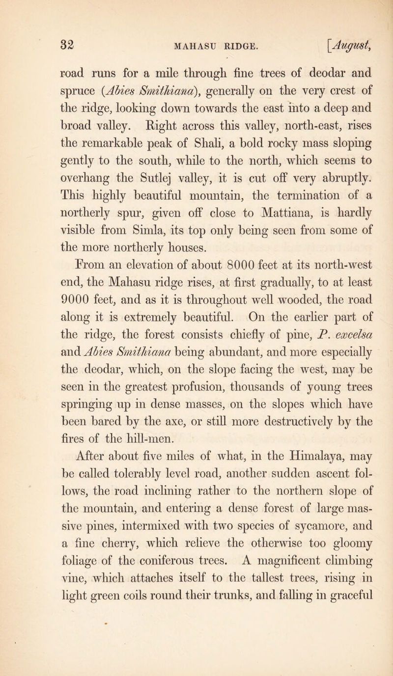 road runs for a mile through fine trees of deodar and spruce {Abies Smithiana), generally on the very crest of the ridge, looking down towards the east into a deep and broad valley. Right across this valley, north-east, rises the remarkable peak of Shali, a bold rocky mass sloping gently to the south, while to the north, which seems to overhang the Sutlej valley, it is cut off very abruptly. This highly beautiful mountain, the termination of a northerly spur, given off close to Mattiana, is hardly visible from Simla, its top only being seen from some of the more northerly houses. From an elevation of about 8000 feet at its north-west end, the Mahasu ridge rises, at first gradually, to at least 9000 feet, and as it is throughout well wooded, the road along it is extremely beautiful. On the earlier part of the ridge, the forest consists chiefly of pine, JP. excelsa and Abies Smithiana being abundant, and more especially the deodar, which, on the slope facing the west, may be seen in the greatest profusion, thousands of young trees springing up in dense masses, on the slopes which have been bared by the axe, or still more destructively by the fires of the hill-men. After about live miles of what, in the Himalaya, may be called tolerably level road, another sudden ascent fol- lows, the road inclining rather to the northern slope of the mountain, and entering a dense forest of large mas- sive pines, intermixed with two species of sycamore, and a fine cherry, which relieve the otherwise too gloomy foliage of the coniferous trees. A magnificent climbing vine, which attaches itself to the tallest trees, rising in light green coils round their trunks, and falling in graceful