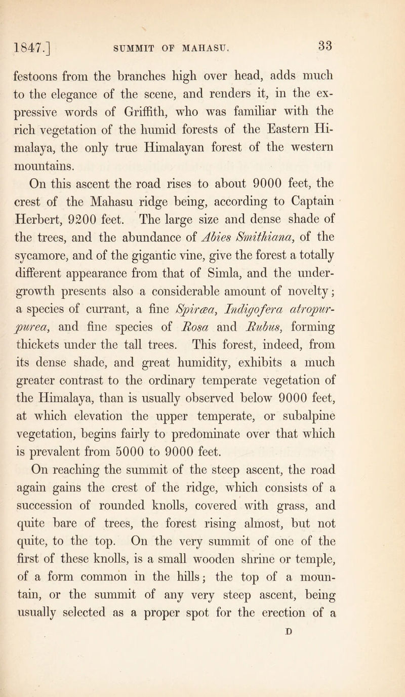 SUMMIT OF MAHASU. 1847.] festoons from the branches high over head, adds much to the elegance of the scene, and renders it, in the ex- pressive words of Griffith, who was familiar with the rich vegetation of the humid forests of the Eastern Hi- malaya, the only true Himalayan forest of the western mountains. On this ascent the road rises to about 9000 feet, the crest of the Mahasu ridge being, according to Captain Herbert, 9200 feet. The large size and dense shade of the trees, and the abundance of Abies Smithiana, of the sycamore, and of the gigantic vine, give the forest a totally different appearance from that of Simla, and the under- growth presents also a considerable amount of novelty; a species of currant, a fine Spircea, Indigofer a atropur- purea, and fine species of Rosa and Rubus, forming thickets under the tall trees. This forest, indeed, from its dense shade, and great humidity, exhibits a much greater contrast to the ordinary temperate vegetation of the Himalaya, than is usually observed below 9000 feet, at which elevation the upper temperate, or subalpine vegetation, begins fairly to predominate over that which is prevalent from 5000 to 9000 feet. On reaching the summit of the steep ascent, the road again gains the crest of the ridge, which consists of a succession of rounded knolls, covered with grass, and quite bare of trees, the forest rising almost, but not quite, to the top. On the very summit of one of the first of these knolls, is a small wooden shrine or temple, of a form common in the hills; the top of a moun- tain, or the summit of any very steep ascent, being usually selected as a proper spot for the erection of a D
