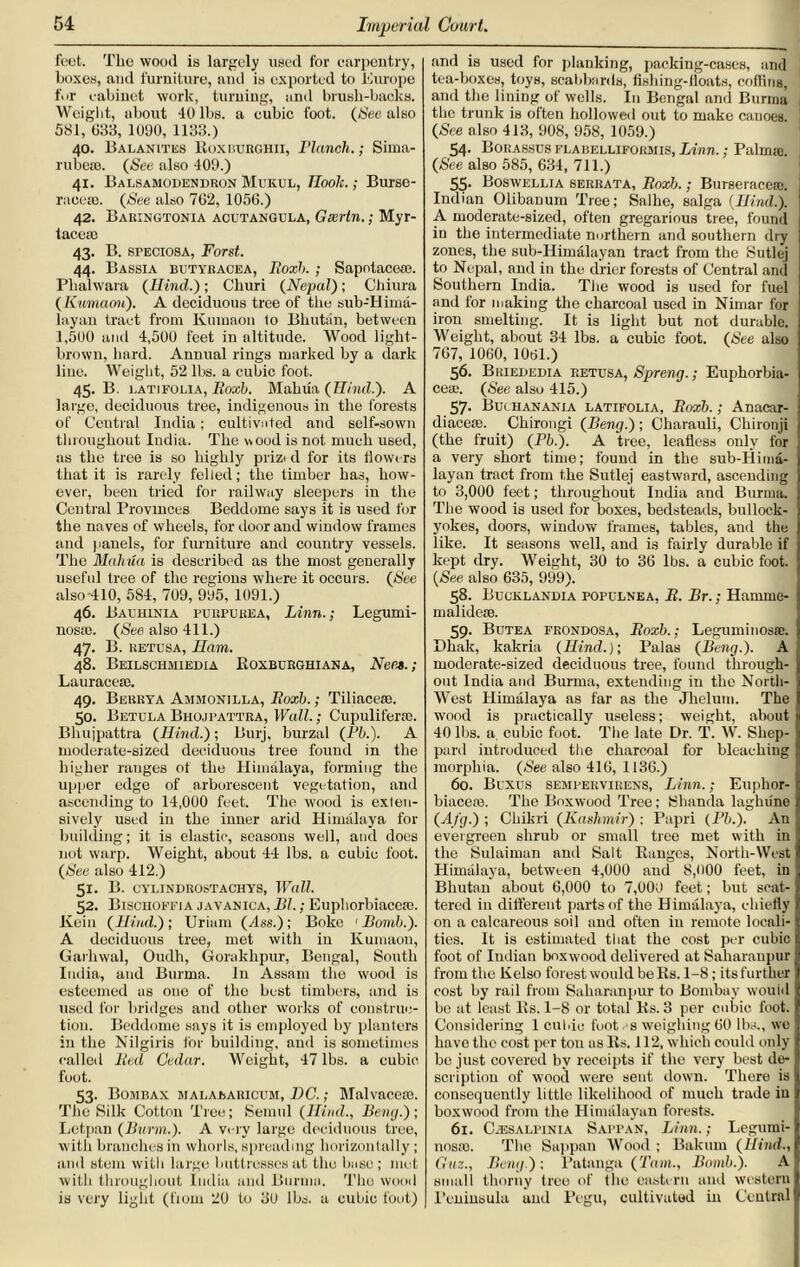 feet. The wood is largely used for carpentry, boxes, and furniture, ami is exported to Europe for cabinet work, turning, and brush-backs. Weight, about 40 lbs. a cubic foot. {See also 581, (333, 1090, 1133.) 40. Balanites Roxburghii, Planch.; Sima- rubese. {See also 409.) 41. Balsamodendron Mukul, Tloolt.; Burse- raceaa. {See also 7(32, 10 56.) 42. Baringtonia acutangula, Gxrtn.; Myr- taceED 43. B. speciosa, Forst. 44. Bassia butyracea, Boxh. ; Sapotaceoe. Phalwara {Hind.); Churi {Nepal); Chiura {Kumami). A deciduous tree of the sub-Hima- layan tract from Kuinaon lo Bhutan, between 1,500 and 4,500 feet in altitude. Wood light- brown, hard. Annual rings marked by a dark line. Weight, 52 lbs. a cubic foot. 45. B. latjfolia, Boxh. Mahua {Hind.). A large, deciduous tree, indigenous in the forests of Ceutral India: cultivated and self-sown throughout India. The wood is not much used, as the tree is so highly prized for its Mowers that it is rarely felled; the timber has, how- ever, been tried for railway sleepers in the Central Provinces Beddume says it is used for the naves of wheels, for door ami window frames and panels, for furniture and country vessels. The Mahiia is described as the most generally useful tree of the regions where it occurs. {See also-410, 584, 709, 995, 1091.) 46. Bauhinia purpurea, Linn.; Legumi- nosrn. {See also 411.) 47. B. retusa, Ham. 48. Beilschmiedia Roxburghiana, Nee*.; Lauraeem. 49. Berrya Ammonilla, Boxh.; Tiliacese. 50. Betula Bhojpattra, Wall.; Cupuliferie. Bhujpattra {Hind.); Burj, burzal {Ph.). A moderate-sized deciduous tree found in the higher ranges of the Himalaya, forming the upper edge of arborescent vegetation, and ascending to 14,000 feet. The wood is exten- sively used in the inner arid Himalaya for building; it is elastic, seasons well, and docs not warp. Weight, about 44 lbs. a cubic foot. {See also 412.) 51. B. CYLINDROSTACHYS, Wall. 52. Bischoffia javanica, Bl.; Euphorbiaceie. Kein {Hind.) ; Uriam (Ass.) ; Boke 1 Bomh.). A deciduous tree, met with in Kuinaon, Garhwal, Oudh, Gorakhpur, Bengal, South India, and Burma. In Assam the wood is esteemed as one of the best timbers, and is used for bridges and other works of construc- tion. Beddome says it is employed by planters in the Nilgiris for building, and is sometimes called Bed Cedar. Weight, 47 lbs. a cubic foot. 53. Bombay malabaricum, DC.; Malvacero. The Silk Cotton Tree; Semul {Hind., Bene/.)-, Letpan {Burm.). A very large deciduous tree, with branches in whorls, spreading horizontally; and stem with large buttresses at the base; met with throughout India and Burma. Tho wood is very light (liom 20 to 30 lbs. a cubic foot) and is used for planking, packing-cases, and tea-boxes, toys, scabbards, fishing-floats, coffins, and the lining of wells. In Bengal and Burma 1 the trunk is often hollowed out to make canoes. {See also 413, 908, 958, 1059.) 54. Borassus flabelliforjiis, Linn.; Palmas. {See also 585, 634, 711.) 55- Boswellia serrata, Boxh.; Burseracese. Indian Olibanum Tree; Salhe, saiga {Hind.). A moderate-sized, often gregarious tree, found in the intermediate northern and southern dry zones, the sub-Himalayan tract from the Sutlej to Nepal, and in the drier forests of Central and Southern India. The wood is used for fuel and for making the charcoal used in Nimar for iron smelting. It is light but not durable. Weight, about 34 lbs. a cubic foot. {See also 767, 1060, 1061.) 56. Briededia retusa, Spreng.; Euphorbia- ceae. {See also 415.) 57. Buchanania latifolia, Boxh.; Anacar- diacefo. Chirongi {Beng.); Charauli, Chironji (the fruit) {Ph.). A tree, leafless only for a very short time; found in the sub-Hima- layan tract from the Sutlej eastward, ascending to 3,000 feet; throughout India and Burma. The wood is used for boxes, bedsteads, bullock- yokes, doors, window frames, tables, and the like. It seasons well, and is fairly durable if kept dry. Weight, 30 to 36 lbs. a cubic foot. {See also 635, 999). 58. Bucklandia populnea, B. Br.; Hamme- malidese. 59. Butea frondosa, Boxh.; Leguminosae. | Dhak, kakria (Hind.); Palas {Beng.). A moderate-sized deciduous tree, found through- out India and Burma, extending in the North- West Himalaya as far as the Jlielutn. The wood is practically useless; weight, about 40 lbs. a cubic foot. The late Dr. T. W. Shep- pard introduced the charcoal for bleaching morphia. (Nee also 416, 1136.) 60. Buxus sempervirens, Linn.; Euphor- biacem. The Boxwood Tree; Shanda laghune {Afg.) ; Chikri {Kashmir) ; Papri (Ph.). An evergreen shrub or small tree met with in the Sulaiman ami Salt Ranges, North-West Himalaya, between 4,000 and 8,(100 feet, in Bhutan about 6,000 to 7,000 feet; but scat- tered in different parts of the Himalaya, chiefly on a calcareous soil and often in remote locali- ties. It is estimated that the cost per cubic foot of Indian boxwood delivered at Saharanpur from the Kelso forest would be Rs. 1-8; its further cost by rail from Saharanpur to Bombay wouid be at least Rs. 1-8 or total Rs. 3 per cubic foot. Considering 1 cubic foot s weighing 60 lbs., we have the cost per ton as Rs. 112, which could only be just covered by receipts if the very best de- scription of wood wero sent down. There is consequently little likelihood of much trade in boxwood from the Himalayan forests. 61. CiESALPiNiA Sappan, Linn.; Legurni- nosso. The Sappan Wood ; Bakum {Hind., Guz., Bung.)-, Patanga {Tam., Bomh.). A small thorny tree of the eastern and western Peninsula and Pegu, cultivated in Central