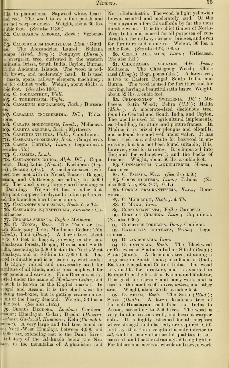 Ilia in plantations. Sapwood white, heart- ed red. The wood takes a line polish and ->■3 not warp or crack. Weight, about GO lbs. ubic foot. (See also 1138.) 52. Callicarpa arborea, Roxb.; Verbena- :0. 53. Calopbyllum inophyllum, Linn.; Gutti- :;e. The Alexandrian Laurel ; Sultana iimpa (Hind., Beng.) ; Ponguyet (Burnt.). a evergreen tree, cutivated in tho western minsula, Orissa, South India, Ceylon, Burma, i the Andaman Islands. The wood is mi- ll brown, and moderately hard. It is used masts, spars, railway sleepers, machinery; 10 for cabinet, work. Weight, about 15 lbs a ■:bic foot. (See also 1001.) 64. C. POLYANTHUM, Wall. •65- j. TOMENTOSUM, Wight. ,■66. Canarium bengalense, Boxh.; Bursera- ®e. 167. Carallia integerriivia, DC.; Rhizo- • orre. :68. Carapa moluccensis, Lamlc.; Meliaceai. *69. Careya arborea, Boxh.; Myrtacese. 70. Carpinus vim ink a. Wall.; Cupuliferse. 71- Iasearia glojierata, Boxb.; Camydacese. 72. Cassia Fistula, Linn.; Leguminos®. tee also 775.) *73- j. siamea, Lamlc. 74. CASTANorsis ixnicA, Alph. DC.; Cupu- er;e. Banj katus (Nepal): Kashioron (Lep- ta) ; Serang (Ass.). A moderate-sized ever- «een tree met with in Nepal, Eastern Bengal, =3sam, and Chittagong, ascending to 5,000 Bt. The wood is very largely used for shingles Darjiling. Weight 14 lbs. a cubic foot, he plant coppices freely, and is often pollarded id the branches burnt fur manure. 75- Dastanopsis rufescens, Hoolc. f. & Th. 76. Casuaiuna equisetifolia, Forester; Ca- arinacese. 77- Cedrela serrata, Boyle; Meliacete. 78. C. Toona, Boxh. The Toon or I11- ;an Mahogany Tree; Moulmein Cedar; Tun .Iind.); Tuni (Beng.). A large tree, about * to 00 feet in height, growing in the sub- imalayau forests, Bengal, Burma, and South alia, ascending to 3,000 feet in the North-West imalaya, and in Sikkim to 7,000 feet. The nod is durable and is not eaten by white-ants ; is highly valued and universally used for irniture of all kinds, and is also employed for nor panels and carving. From Burma it is t x- ■urted under the name of Moulmein Cedar, and V such is known in the English market. In »engal and Assam, it is the chief wood for taking tea-boxes, but is getting scarce on ac- *iunt of the heavy demand. Weight, 30 lbs. a ubic foot. (See also 1112.) 79- Cedrus Deodora, London; Conifer®, deodar; Himalayan C.dar; Deodar (Hazara, --nshmir, Garhwall, Kumaoni; Kelu (Chenab to mmna). A very large and tall tree, found in ne North-West Himalaya between 1,000 and •10,000 feet, extending east to the Dauli River, tributary of the Alakuada below tho Niti •fuss, in the mountains of Afghanistan and North Beluchistan. Tho wood is light yellowish brown, scented and moderately hard. Of tlm Himalayan conifers this affords by far the most durable wood. It is tho chief timber of North- West India, and is used for all purposes of con- struction, for railway sleepers, bridges, and even for furniture and shingles. Weight, 36 lbs. a cubic foot. (See also 122, 1065.) 80. Celtis australis, Linn.; Urticaceso. (See also 121.) 81. Chickrassia tabularis, Adr. Juss.; Meliaecte. The Chittagong Wood; Chik- rassi (Beng.); Boga poma (Ass.). A large tree, native to Eastern Bengal, South India, and Burma. The wood is used for furniture and for carving, having a beautiful satin lustre. Weight, about 52 lbs. a cubic foot. 82. Chloroxylon Swietenia, DC. ; Me- liacem. Satin Wood; Behra (C.P.); Halda (Maihr.). A moderate-sized deciduous tree, found in Central and South India, and Ceylon, The wood is used for agricultural implements, cart-building, furniture, and picture frames. In Madras it is prized for ploughs and oil-mills, and is found to stand well under water. It has been tried as a substitute for boxwood in en- graving, but has not been found suitable ; it is, however, good for turning. It is imported into England for cabinet-work and the backs of brushes. Weight, about 60 lbs. a cubic foot. 83. ClNNAMOMUM GLANDUL1FERUM, Meis&n.; Laurinese. 84. C. Tamala, Nees. (See also 659.) 85- Cocos nucifera, Linn.; Palmie. (See also 660, 715, 895, 913, 1011.) 86. Cordia fragrantissima, Kurz.; Bora- gineie. 87. C. Macleodii, Hook. f. & Th. 88. C. Myxa, Linn. 89. Cornus capitata, Wall.; Cornaceso 90. Corylus Colurna, Linn.; Gupuliferaj. (See also 636.) 91. Cupressus torulosa, Don,; Conifer®. 92. Dalbergia cultrata, Grah.; Legu- minosse. 93- D. lanceolaria, Linn. 94. D. latifolia, Boxh. The Blackwood or Rosewood of Southern India; Sitsal (Beng.) ; Sissui (Mar.). A deciduous tree, attaining a large size in South India; also found in Oudh, Eastern Bengal, and Central India. The wood is valuable for furniture, and is exported to Europe from the forests of Kanara and Malabar. It is good for carving and fancy work, and is used for the handles of knives, kukris, and other arms. Weight, about 55 lbs. a cubic foot. 95. D. Sissoo, Boxb. The Sissu (Ilind.) ; Sissai (Oudh). ' A large deciduous tree of the sub-Himalayan tract from tho Indus to Assam, ascending to 2,u00 feet. The wood is very durable, seasons well, and does not warp or split. It is highly esteemed for all purposes where strength and elasticity are required. Clif- ford says that “ in strength it is only inferior to sal, while in many other useful qualities it sur- passes it, and has the advantage of being lighter. For felloes and naves of wheels and carved work