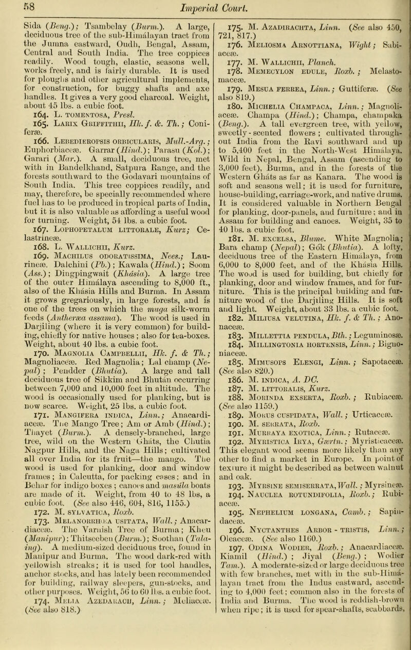 Sida (Bung.); Tsambelay (Burm.). A large, deciduous tree of the sub-Himalayan tract from the Jumna eastward, Oudli, Bengal, Assam, Central and South India. The tree coppices readily. Wood tough, elastic, seasons well, works freely, and is fairly durable. It is used for ploughs and other agricultural implements, for construction, for buggy shafts and axe bandies. It gives a very good charcoal. Weight, about 45 lbs. a cubic foot. 164. L. tomentosa, Presl. 165. Lakix Griffith!!, Hit. f. &. Th.; Coni- form. 166. Lebediekopsis orbicularis, Mull.-Arg.; Euphorbiacese. Garrar {Hind.); Parasu (Kol.); Garari {Mar.). A small, deciduous tree, met with in Bandelkliand, Satpura Range, and the forests southward to the Godavari mountains of South India. This tree coppices readily, and may, therefore, be specially recommended where fuel has to be produced in tropical parts of India, but it is also valuable as affording a useful wood for turning. Weight, 54 lbs. a cubic foot. 167. Lophopetalum littorale, Kurz; Ce- lastrinese. 168. L. Wallichii, Kurz. 169. Machilus odoratissima, Nees.; Lau- rinem. Dalchini {Pb.) ; Kawala {Hind.) ; Soom (ylss.) ; Dingpingwait {Khasia). A large tree of the outer Himalaya ascending to 8,000 ft., also of the Khasia Hills and Burma. In Assam it grows gregariously, in large forests, and is one of the trees on winch the muga silk-worm feeds {Antherxa assama). The wood is used in Darjiling (where it is very common) for build- ing, chiefly for native houses ; also for tea-boxes. Weight, about 40 lbs. a cubic foot. 170. Magnolia Campbellii, Hit. f. & Th.; Magnoliacese. Red Magnolia; Lai champ {Ne- pal) ; Pendder {Bliutia). A large and tall deciduous tree of Sikkim and Bhutan occurring between 7,000 and 10,000 feet in altitude. The wood is occasionally used for planking, but is now scarce. Weight, 25 lbs. a cubic foot. 171. Mangifera indica, Linn.; Anacardi- acese. The Mango Tree; Am or Anrb {Hind.); Thayet {Burm.). A densely-branched, large tree, wild on the Western Ghats, the Chutia Nagpur Hills, and the Naga Hills; cultivated all over India for its fruit—the mango. The wood is used for planking, door and window frames; in Calcutta, for packing cases; and in Beliar for indigo boxes ; canoes and masula boats are made of it. Weight, from 40 to 48 lbs, a cubic foot. {See also 446, 604, 816, 1155.) 172. M. sylvatica, lloxb. 173. Melanorrhika usitata, \V<iH.; A mica r- diacese. 'The Varnish Tree of Burma; Kheu {Manipur): Thitseeben {Burm.): Suothan {Tabl- ing). A medium-sized deciduous tree, found in Manipur and Burma. The wood dark-red with yellowish streaks; it is used for tool handles, anchor stocks, and has lately been recommended for building, railway sleepers, gun-stocks, and other purposes. Weight, 56 to 60 lbs. a cubic foot. 174. Mel 1 a Azedauaou, Linn.; Meliacuo. {Set also 818.) 175. M. Azadirachta, Linn. {See also 450, 721, 817.) 176. Meliosma Arnottiana, Wight; Sabi- acem. 177. M. Wallichii, Planch. 178. Memecylon euule, Roxb. ; Mclasto- macese. 179. Mesua ferrea, Linn.; Guttifcrse. {See also 819.) 180. Michelia Ciiampaca, Linn.; Magnoli- aceie. Champa {Hind.); Champa, champaka {Beng.). A tall evergreen tree, with yeiluw, sweetly - scented flowers ; cultivated through- out India from the Ravi southward and up to 5,400 feet in the North-West Himalaya. Wild in Nepal, Bengal, Assam (ascending to 3.000 feet), Burma, and in the forests of the Western Ghats as far as Kanara. The wood is soft and seasons well; it is used for furniture, house-building, carriage-work, and native drums. It is considered valuable in Norther n Bengal for planking, door-panels, and furniture; and in Assam for building and canoes. Weight, 35 to 40 lbs. a cubic foot. 181. M. excelsa, Blume. White Magnolia; Bara champ {Nepal); Gok {Bhutia). A lofty, deciduous tree of the Eastern Himalaya, from 6.000 to 8,000 feet, and of the Khasia Hills. The wood is used for building, but chiefly for planking, door and window frames, and for fur- niture. This is the principal building and fur- niture wood of the Darjiling Hills. It is soft and light. Weight, about 33 lbs. a cubic foot. 182. Miliusa velutina, HI;, f. & Th.; Ano- naceae. 183. Millettia pendula, Bth.; Leguminosse. 184. Millingtonia hortensis, Linn.; Bigno- niacese. 185. Mimusops Elengi, Linn.; SapotacesB. {See also 820.) 186. M. indica, A. DC. 187. M. LiTTOKALis, Kurz. 188. Morinda exserta, Roxb. ; Rubiacese. {See also 1159.) 189. Mokus cuspidata, Wall.; Urticacero. 190. M. sekkata, Roxb. 191. Murijaya exotica, Linn.; Rutacem. 192. Myristica Irya, Gxrtn.; Myristicaceso. This elegant wood seems more likely than any other to find a market in Europe. In point of texture it might be described as between walnut and oak. 193. Myrsine semiserrata, Wall.; Myrsinerc. 194. Nauclea rotundifolia, Roxb.; Rubi- accre. 195. Nepiielium longana, Camb.; Sapiu- daceae. 196. Nyctanthes Arbor - tristis, Linn.; Olcacem. {See also 1160.) 197. Odina Wodier, Roxb.; AnacardiacesB. Kiamil {Hind.) ; Jiyal {Beng.) ; Wodier Tam.). A moderate-sized or large deciduous tree with few branches, met with in the sub-Hima- layan tract from the Indus eastward, ascend- ing to 4,000 feet; common also in the forests of India and Burma. The wood is reddish-brown when ripe; it is used for spear-shafts, scabbards,