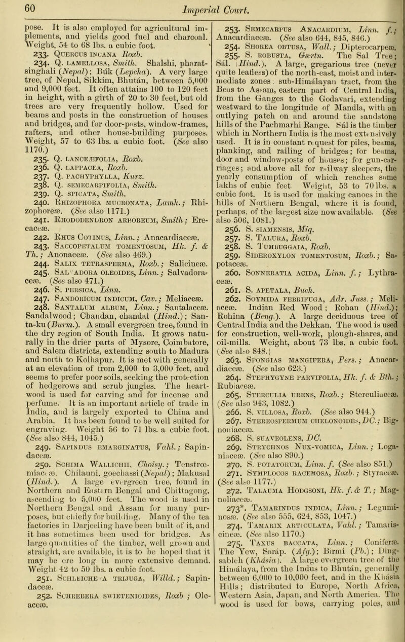 pose. It is also employed for agricultural im- plements, and yields good fuel and charcoal. Weight, 54 to 58 lbs. a cubic foot. 233. QUERCUS IN CANA Itoxb. 234. Q. lamellosa, Smith. Shalshi, phnrat- singhali (Nepal)', Buk (Lepchci). A very large tree, of Nepal, Sikkim, Bhutan, between 5,000 and 9,000 feet. It often attains 100 to 120 feet in height, with a girth of 20 to 30 feet, but old trees are very frequently hollow. Used tor beams and posts in the construction of houses and bridges, and for door-posts, window-frames, rafters, and other house-building purposes. Weight, 57 to 63 lbs. a cubic foot. (Nee also 1170.) 235- Q- LANCE.EFOLIA, Roxb. 236. Q. LAPPAOEA, Roxb. 237. Q. FACHYPHYLLA, KurZ. 238. Q. semecarpifolia, Smith. 239. Q. SPICATA, Smith. 240. Khizophora mucronata, Lamlc.; Rhi- zophore®. (See also 1171.) 241. Rhododendron arboreem, Smith; Ere- cace®. 242. Rhus Cot ini s, Linn.; Anacardiace®. 243. Saccopetalem tomentosum, HI;, f. & Th.; Anonace®. (See also 469.) 244. Salix tetraspersia, Roxb.; Saliciue®. 245- Sal adora oleoides, Linn.; Salvadora- ce®. (See also 471.) 246. S. PERSicA, Linn. 247. Sandoricem indicem, Cav.; Meliace®. 248. Santalem albem, Linn.; Santalace®. Sandalwood; Cbandan, chandal (Hind.); San- ta-ku (Barm.). A small evergreen tree, found in the dry region of South India. It grows natu- rally in the drier parts of Mysore, Coimbatore, and Salem districts, extending south to Madura and north to Kolhapur. It is met with generally at an elevation of from 2,000 to 3,000 feet, and seems to prefer poor soils, seeking the protection of hedgerows and scrub jungles. The heart- wood is used for carving and for incense and perfume. It is an important article of trade in India, and is largely exported to China and Arabia. It has been found to be well suited for engraving. Weight 56 to 71 lbs. a cubic foot. (See also 844, 1045.) 249. Safes lies emarginatus, Valil.; Sapin- dace®. 250. ScniMA Wallichii, Choisy.; Tenstroo- miaci ®. Chilauni. goechassi (Nepal) ; Makusal (Hind.). A large evergreen tiee, found in Northern and Eastern Bengal and Chittagong, ascending to 5,000 feet. The wood is used iu Northern Bengal and Assam for many pur- poses, but chieHy for building. Many of the tea factories in Darjeeling have been built of it, and it has sometimes been used for bridges. As large quantities of the timber, well grown and straight, are available, it is to be hoped that it may bo ere long in moro extensive demand. Weight 42 to 50 lbs. a cubic foot. 251. Sciiliiiche A trijuga, Willd.; Sapin- dacc®. 252. SclIliEBEUA SWIETENIOIDES, Roxb. ; Olc- ace®. 253. Semecarpes Anacardiem, Linn. Anacardiace®. (See also 644, 845, 846.) 254- Siiorea obtusa, Wall.; Dipterocarpe®. 255. S. kobusta, Giertn. The Sal Tree; Sal. [Hind.). A large, gregarious tree (never quite Iea0ess)of the north-east, moist and inter- mediate zones . sub-Himalayan tract, from the Bens to Assam, eastern part of Central India, from the Ganges to the Godavari, extending westward to the longitude of Manilla, with an outlying patch on and around the sandstone hills of the Pachmarhi Range. Sal is the timber which in Northern India is the most extensively used. It is in constant ri quest for piles, beams, planking, and railing of bridges; for beams, door and window-posts of houses; for gun-car- riages; and above all for railway sleepers, the yearly consumption of which reaches some lakhs of cubic feet Weight, 53 to 70 lbs. a cubic foot. It is used for making canoes iu the hills of Northern Bengal, where it is found, perhaps, of the largest size now available. (See also 506, 1081.) 256. S. siamensis, Miq. 257. S. Taleka, Roxb. 258. S. Tembuggaia, Roxb. 259. SlDEROXYLON TOMENTOSUM, Roxb.; Sa- potace®. 260. Sonneratia acid a, Linn. f.; Lythra- ce®. 261. S. apetala, Bueh. 262. Soymida febrifega, Adr. Juss.; Meli- ace®. Indian Red Wood; Rohan (Hind.); Roliina (Beng.). A large deciduous tree of Central India and the Dekkan. The wood is used for construction, well-work, plough-shares, and oil-mills. Weight, about 73 lbs. a cubic foot. (See al.-o 848.) 263. Spongias mangifeba, Pen.; Anacar- diace®. (See also 623.) 264. Stephygyne farvifolia, Hk. f. ct- Bth.; Rubiace®. 265. Stercelia erens, Roxb.; Sterculiace®. (See also 943, 1082.) 266. S. villosa, Roxb. (See also 944.) 267. Steiieospermum ctielonoide.',DC.; Big- 110 ni ace®. 268. S. seaveolens, DC. 269. Strychnos Nux-vomica, Linn.; Loga- niucc®. (See also 890.) 270. S. potatorum, Linn. f. (See also 851.) 271. Symplocos racemosa, Roxb.; Styrace®. (See also 1177.) 272. Talauma Hodgsoni, Hk. f. it T.; Mag- noliace®. 273*. Tamarindes indica, Linn.; Legumi- 110s®. (Nee also 555, 624, 853, 1047.) 274. Tamarix auticelata, Yahl.; Tamaris- cine®. (See also 1170.) 275. Taxes baccata, Linn. ; Conifer®. The Yew, Sanip. (Afg.); Birmi (Pb.); lting- sableh (Kliasia). A large evergreen tree of the Himalaya, from the Indus to Bhutan, generally between 6,000 to 10,000 feet, and in the Kluisia Hills; distributed to Europe, North Africa, Western Asia, Japan, and North America. The wood is used for bows, carrying polos, and