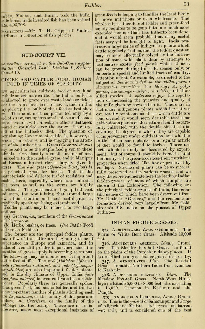 inbav, Madras, and Burma took tho bulk. Ii0 internal trade in salted fish has been valued 15s. 4,93,70S. Exhibitors.—Mr. T. H. Cripps of Madras itributes a collection of fish pickles. SUB-COURT VII. o exhibits arranged in this Sub-Court appear •in the “ Classified List,” Division I., Sections >3 and 10. ODDER AND CATTLE FOOD; HUMAN FOOD IN TIMES OF SCARCITY. Tjw agriculturists cultivate food of any kind •• their unfortunate cattle. The Indian bullocks e allowed to graze over waste lands or fields, ioer the crops have been removed, and in this ay pick up the bulk of their food as best they in. This is at most supplemented only by a ed of straw, cut up into small pieces and some- mes flavoured with oil-cake or other substances mred or sprinkled over the straw—the curry- rtf of the bullocks’ diet. The question of lovisioniug Government cattle is, however, of teasing importance, and is eugaging the atten- on of the authorities. Gram (Cicer arietinum) say be said to be the staple food given to these limals. Occasionally a small amount of oats mixed with the crushed gram, and in Manipur ud Burma unhusked rice is largely given to erses. The dub grass (Cynodon Daetylon) is e principal grass for horses. This is the .laracteristic and delicate turf of roadsides and naste places, especially where sand prevails, ihe roots, as well as the stems, are highly utritious. The grass-cutter digs up both root nd stem, the result being that around large wns this beautiful and most useful grass is, ■ actically speaking, being exterminated. Fodder plants may be referred to two large actions— (a) Grasses, i.e., members of the Graminacese •nd Cyperacese. (b) Herbs, bushes, or trees. (See Cattle Food ad Green Fodder.) The former are the principal fodder plants, tut a few of the latter are beginning to be of inportance in Europe and America, and in cidia of even still greater importance, since the luestion of grass-supply is becoming so serious, he following may be mentioned as important uttle food-stuffs. The urd (Dolichos bifiorus), noth (Phaseolus radiatus), and guar (Cyamopsis 'soralioides') are also important fodder plants, ind in the dry climate of Upper India juar Sorghum vulgare) is even cultivated as a cattle- udder. Popularly these are generally spoken If as green-food, and not as fodder, and the two cost important families of plants affording such ire Leguminosx, or the family of the peas and ulses, and Cruciferx, or the family of the tabbage and the turnip. There are in India, •owever, many most exceptional instances of oreon-fbods belonging to families tho least likely to prove nutritious or even wholesome. The whole subject therefore of fodder and green-food supply requires to be gone into in a much more extended manner than has hitherto been done, and it would seem probable that many usetul facts may yet be brought to light. India pos- sesses a large series of indigenous plants which cattle regularly feed on, and the fodder question may be more effectually solved by the cultiva- tion of some wild plant than bv attempts to acclimatize exotic food plants which at most can be grown during the cold season only, or on certain special and limited tracts of country. Attention might, for example, be directed to the subject of Bcerhaavia diffusa, the gddha puma ; Amarantus gangcticus, the lal-sag; A. poly- gamies, the champa-natiya ; A. tristis. and other allied species. A. spinosus enjoys the reputa- tion of increasing the quantity and quality of the milk given by cows fed on it. There are in fact many indigenous plants which the natives can readily point out as those which cattle are fond of, and it would seem desirable that some half-a-dozen plants of this nature should be care- fully cultivated with the double object of dis- covering the degree to which they are capable of improvement under cultivation, and whether cattle fed on such plants as a regular article of diet would be found to thrive. These are facts which can only be discovered by experi- ment ; but of course it should be borne in mind that many of the green-foods lose their nutritious properties when dried like hay or preserved by ensilage. No class of plants can be so success- fully preserved as the various grasses, and we may therefore enumerate here the leading Indian fodder-grasses, of most of which samples are shown at the Exhibition. The following are the principal fodder-grasses of India, the scien- tific names of which have been drawn out from Mr. Duthie’s “ Grasses,” and the economic in- formation derived very largely from Mr. Cold- stream's MS. notes on the grasses of Upper India:— INDIAN FODDER-GRASSES. 315. Agrostis alba, Linn.; Graminese. The Fioriu or White Bent Grass. Altitude 13,000 feet. 3x6. Alopecdrls agrestis, Linn.; Grand- ness. The Slender Fox-tail Grass. Is found on the plains of the Punjab in damp places. It is described as a good fodder-grass, fresh or dry. 317. A. geniculatus, Linn. The Fox-tail Grass. Inhabits Northern India from Kumaon to Kashmir. 318. Alopecurus pratensis, Linn. The Meadow Fox-tail Grass. North-West Hima- laya ; altitude 5,000 to 8,000 feet, also ascending to 13,000. Common in Kashmir and the Punjab. 319. Andropogon Ischxemtjm, Linn.; Grand- ne;e. This is the palwal of Saharanpur and Jarga of Aligarh and Muttra. It is grown on barren, wet soils, and is considered one of the best