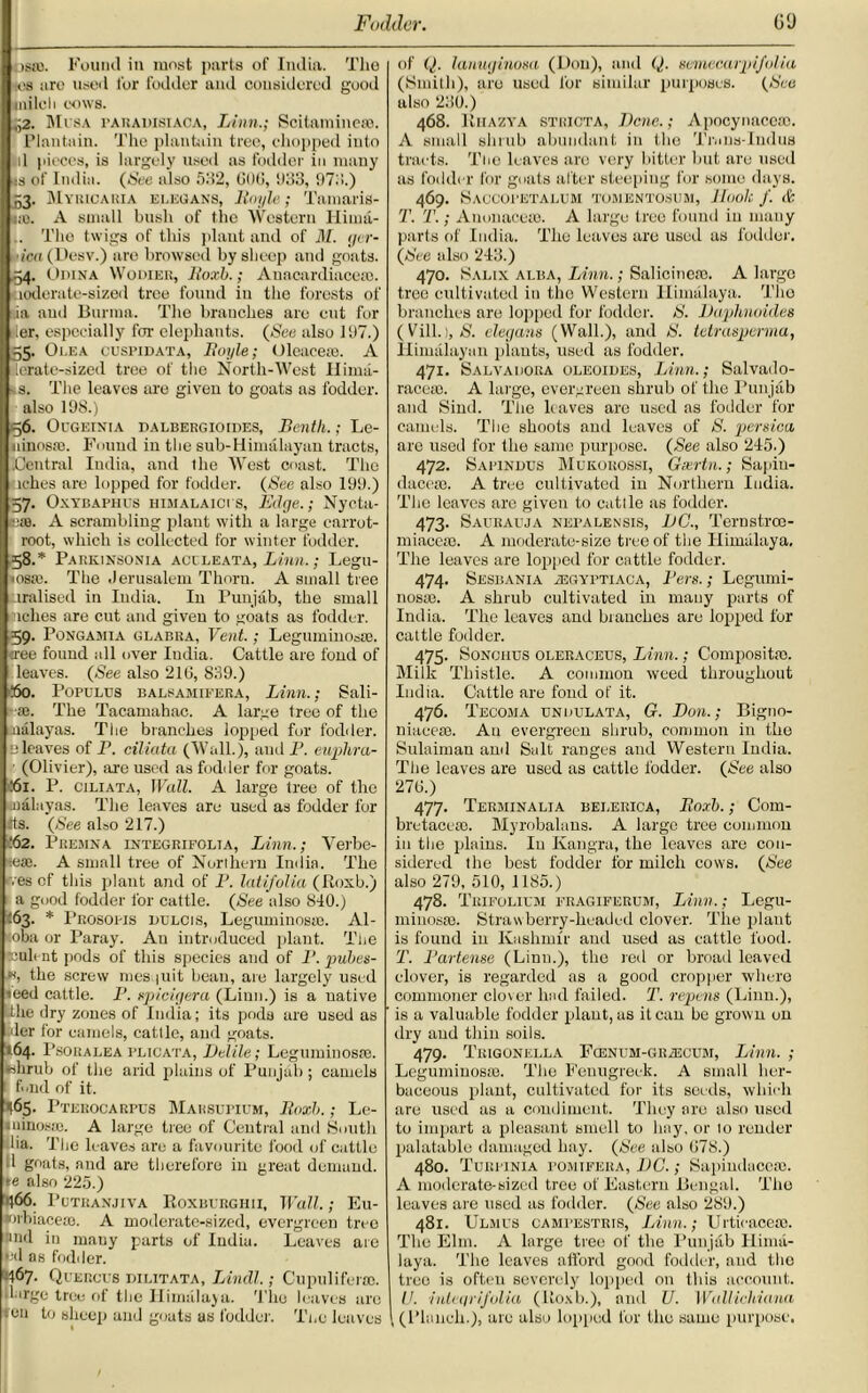 Fodder. 09 :)S!0. Found in most parts of India. Tlio os are used for fodder and considered good mi lei i cows. ,;2. Mtsa rAHAinsiACA, Linn.; Scitaminese. Plantain. The plantain tree, chopped into d pieces, is largely used as fodder in many :s of India. (See also 532, 00(5, 1)33, 973.) 53. Myricaria elegans, lloyle; Tamaris- iio. A small bush of the Western liiuia- .. The twigs of this plant and of M. ger- • ica (Desv.) are browsed by sheep and goats. 54. Odina Wodier, Boxb.; Anacardiaceso. icderato-sized tree found in the forests of .ia and Burma. The branches are cut for er, especially for elephants. (See also 197.) 55. Oi.ea cuspidata, Boyle; Oleaceai. A lerate-sized tree of the North-West Ilima- s. The leaves are given to goats as fodder, also 19S.) 56. Ocgetnia dalbergioides, Benth.; Le- ninosaj. Found in the sub-Himalayan tracts, .Central India, and the West coast. The aches are lopped for fodder. (See also 199.) 57. Oxydaphis HisiALAict s, Edge.; Nyota- eao. A scrambling plant with a large carrot- root, which is collected for winter fodder. 58. * ’arkinbonia accleata, Linn.; Legu- iosre. The Jerusalem Thorn. A small tree iralised in India. In Punjab, the small lobes are cut and given to goats as fodder. 59. Pongamia glabra, Vent.; Leguinmosie. tree found all over India. Cattle are fond of leaves. (See also 216, 839.) Bk>. Populus balsamieera, Linn.; Sali- oe. The Tacamahac. A large tree of the oialayas. The branches lopped for fodder, e leaves of B. ciliata (Wall.), and P. euplira- (Olivier), are used as fodder for goats. .61. P. ciliata, Wall. A large tree of the malayas. The leaves are used as fodder for Its. (See also 217.) :62. Premna integrifolia, Linn.; Verbe- ieae. A small tree of Northern India. The ves cf this plant and of P. latifolia (Boxb.) a good fodder for cattle. (See also 840.) 563. * Prosopis dllcis, Legiuninosrc. Al- oba or Paray. An introduced plant. The teuli nt pods of this species and of F. pubes- the screw mes juit bean, are largely used teed cattle. P. spicigera (Linn.) is a native the dry zones of India; its pods are used as :dcr for camels, cattle, and goats. 164. Psoralea plicata, Del He; Legumiuospe. bhrub of the arid plains of Punjab; camels f<.nd of it. 165. Pterocarpus Mahsupium, Boxb.; Le- minosas. A large tree of Central and South ilia. The leaves are a favourite food of cattle 1 goats, and are therefore in great demand, re also 225.) 466. Putranjiva Boxbvrghii, Wall.; Eu- fnibiaceio. A moderate-sized, evergreen tree nnd in many parts of India. Leaves are pd as fodder. 467. Quercus dilitata, Liiull.; Cupuliferro. large tree of the Himalaya. Tiro leaves arc ten to sheep and goats as fodder. Tne leaves of Q. lanuginosa (Don), and Q. semecarpifolia (Smith), are used for similar purposes. (See also 230.) 468. Riiazya stricta, Dene.; Apocynaceoo. A small shrub abundant in the Trans-Indus tracts. The leaves are very bitter but aru used as fodder for goats after steeping for some days. 469. SaCCOPETALUM TUMENTOSUll, Jlook f. dr T. T.; Auonaccte. A large tree found in many parts of India. The leaves are used as fodder. (See also 243.) 470. Salix alba, Linn.; Salicinere. A large tree cultivated in the Western Himalaya. Tho branches are lopped for fodder. S. Daplmoides (Vill.S. elegans (Wall.), and S. tetrasperma, Himalayan plants, used as fodder. 471. Salvaiiora oleoides, Linn.; Salvado- racese. A large, evergreen shrub of the Punjab and Sind. The leaves are used as fodder for camels. The shoots and leaves of S. persica arc used for the same purpose. (See also 245.) 472. Sapinjdus Mukouossi, Geertn.; Sapiu- daceae. A tree cultivated in Northern India. The leaves arc given to cattle as fodder. 473. Saurauja nepalensis, DC., Ternstrcc- miacete. A moderate-size tree of the Himalaya. The leaves are lopped for cattle fodder. 474. Sesbania 2Egyptiaca, Pers.; Legumi- nosse. A shrub cultivated in many parts of India. The leaves and branches arc lopped for cattle fodder. 475. Sonchus oleraceus, Linn.; Composite. Milk Thistle. A common weed throughout India. Cattle are fond of it. 476. rJ ’ecoma endulata, G. Don.; Bigno- uiacese. An evergreen shrub, common in the Sulaiman and Salt ranges and Western India. The leaves are used as cattle fodder. (See also 276.) 477. Terminalia belerica, Boxb.; Com- bretaceaa. Myrobalans. A largo tree common in the plains. In Kangru, the leaves are con- sidered the best fodder for milch cows. (See also 279, 510, 1185.) 478. Tiiifolilm fragiferum, Linn.; Legu- minosm. Strawberry-headed clover. The plant is found in Kashmir and used as cattle food. T. Partense (Linn.), the red or broad leaved clover, is regarded as a good cropper where commoner clover had failed. T. repens (Linn.), is a valuable fodder plant, as it can be grown on dry and thin soils. 479. TrIGONELLA FcENUM-GRiECUM, Linn. ; Leguminosm. The Fenugreek. A small her- baceous plant, cultivated for its seeds, which are used as a condiment. They are also used to impart a pleasant smell to hay, or 10 render palatable damaged bay. (See also 678.) 480. Turpinia pomifera, DC.; Sapinduceae. A moderate-sized tree of Eastern Bengal. Tho leaves are used as fodder. (See also 289.) 481. Ulmus campestris, Linn.; Urticacem. The Elm. A large tree of the Punjab Hima- laya. The leaves afford good fodder, and the tree is often severely lopped on this account. U. inleqrifolia (Boxb.), and U. Wallichiana ((Planch.), are also lopped for the same purpose.