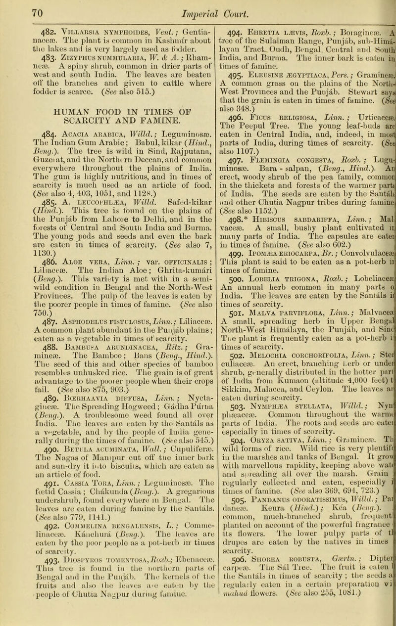 482. V illaksia nympho ides, Vent.; Gentia- naee®. Tlie plant is common in Kashmir about tho lakes and is very largely used as fodder. 483. ZlZYPHUS NUMMULAltlA, IF. & A. ; lUiaill- ne®. A spiny shrub, common in drier parts of west and south India. The leaves are beaten oil' tho branches and given to cattle where fodder is scarce. {See also 515.) HUMAN FOOD IN TIMES OF SCARCITY AND FAMINE. 484. Acacia akabica, Willd.; Leguminos®. Tho Indian Gum Arabic; Babul, kikar (Hind., Beng.). The tree is wild in Sind, Rajputana, Guzeiat, and the Northern Deccan, and common everywhere throughout the plaius of India. The gum is highly nutritious, and in times of scarcity is much used as an article of food. (See also 4, 403, 1051, and 112S.) 485. A. LEUCOPHL2EA, Willd. Safed-kikar (Ilind.). This tree is found on the plains of the Punjab from Lahoie to Delhi, and in the forests of Central and South India and Burma. The young pods and seeds and even the bark are eaten in times of scarcity. (See also 7, 1130.) 486. Aloe vera, Linn. ; var. officinalis ; Liliace®. Tho Indian Aloe; Ghrita-kumari (Beng.). Tins variety is met with in a semi- wild condition in Bengal and the North-West Provinces. The pulp of the leaves is eaten by the poorer people in times of famine. (See also 750.) 487. Aspiiodelus fist closes, Linn.; Liliace®. A common plant abundant in the Punjab plains; eaten as a vegetable in times of scarcity. 488. Bambusa ari ndinacea, Ilitz.; Gra- mme®. The Bamboo ; Bans (Beng., Hind.). The seed of this and other species of bamboo resembles unhusked rice. The grain is of great advantage to the poorer people when their crops fail. (See also 375, 003.) 489. Bceuhaavia diffusa, Linn.; Nycta- giue®. The Spreading Hogweed; GadhaPurna (Beng.). A troublesome weed found all over India. The leaves are eaten fry the Santals as a vegetable, and by the people of India gene- rally during the times of famine. (See also 545.) 490. Beti la acuminata, Wall.; Cupulifera). The Nagas of Manipur cut off the inner bark and sun-dry it into biscuits, which are eaten as an article of food. 491. Cassia Toiia, Linn.; Leguminos®. The foetid Cassia; Ghakuuda (Beng.). A gregarious undershrub, found everywhere 111 Bengal. The leaves are eaten during famine by tire 3anUils. (See also 770, 1141.) 492. COM MELINA BENGALENSIS, L. ; ComiUC- linace®. K&nehura (Beng.). Tho leaves are eaten by the poor people as a pot-herb in times of scarcity. 493. Diospyros tomentosa, Boxb.; Ebunaceio. This tree is found in the northern parts of Bengal and in the Punjab. The kernels of the fruits and also lho leaves am eaten by the people of Chutta Nagpur during famine. 494. Ehretia lzevih, Boxb.; Boiagineic. A tree of the Bulaiman Range, Punjab, sub-IIimu- layau Tract. Oudh, Bengal, Central and South India, and Burma. The inner bark is eaten in times of famine. 495. Eleusine jEGYptiaca, Pars.; Gramme*.' A common grass on the plains of the Nortln West Provinces and the Punjab. Stewart says that the grain is eaten in times of famine. (See also 348.) 496. Ficus religiosa, Linn. ; Urtieacese.l The Peepul Tree. The young leaf-buds arc eaten in Central India, and, indeed, in most parts of India, during times of scarcity. (Set also 1107.) 497. Flemingia congesta, Boxh. ; Lugu- minos®. Bara - salpan, (Beng., Hind.). An erect, woody shrub of the pea family, comruor in the thickets and forests of the warmer parti of India. The seeds are eaten by the Santah and other Chutia Nagpur tribes during famine (See also 1152.) 498. * Hibiscus sabdariffa, Linn.; Mai vace®. A small, bushy plant cultivated 11 many parts of India. The capsules are eatei in times of famine. (See abo G02.) 499. Ipomaea ERiocAEPA, Br.; Convolvulace® This plant is said to be eaten as a pot-herb ii times of famine. 500. Lobelia trigona, Boxb.; Lobeliacea: An annual herb common in many parts 0 India. The leaves are eaten by the Sanials ii times of scarcity. 501. Malva parviflora, Linn.; Malvacea A small, spreading herb in Upper Bengal North-West Himalaya, the Punjab, and Sine Tue plant is frequently eaten as a pot-herb i times of scarcity. 502. Melochia corchorifolia, Linn.; Stei culiaee®. An erect, branching kerb or under shrub, generally distributed in the hotter pari of India from lvumaon (altitude 4,000 feet) t Sikkim, Malacca, and Ceylon. The leaves ar eaten during scarcity. 503. Nymphaea stellata, Willd.; Nyu plimace®. Common throughout the warms parts of India. The roots and seeds are eatei especially in times of scarcity. 504. Oryza sativa, Linn.; Gramme®. Th wild forms of rice. Wild rice is very plentifi in the marshes and tanks of Bengal. It grow with marvellous rapidity, keeping above watt and spreading all over the marsh. Grain regularly collect!d and eaten, especially i times of famine. (See also 300, 004, 723.) 505. Pandanus odoratissimus, Wilhl.; Pai dane®. Keura (Hind.); Ken (Beng.). common, much-branched shrub, frequent planted on account of the powerful fragrance its flowers. The lower pulpy parts of tl drupes are eaten by the natives in times scarcity. 506. SlIOREA KOBUSTA, Gn’rtn. ; Dipter earpe®. The Siil Tree. The fruit is eaten 1 the Sanials in limes of scarcity ; the seeds a regularly eaten in a certain preparation vi inahiui flowers. (See also 255, 1081.)