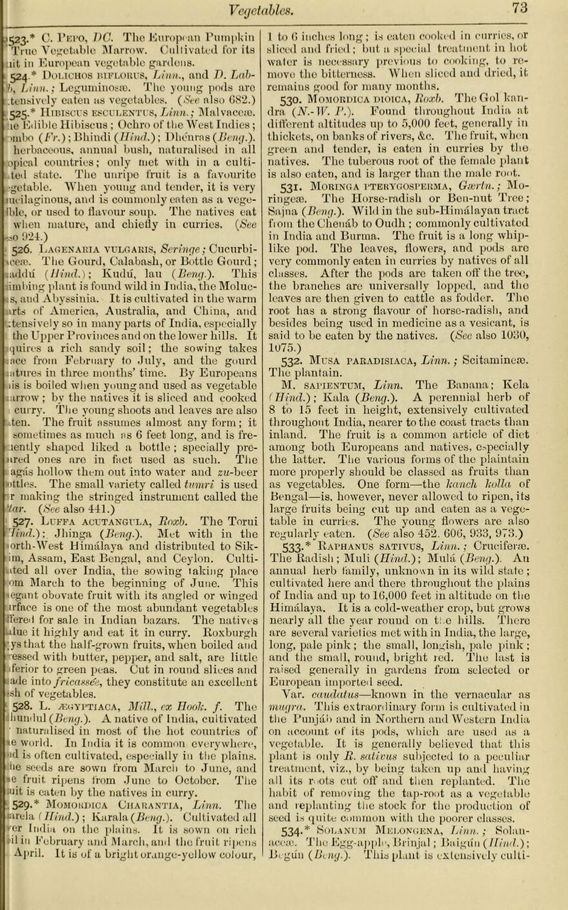 1523.* C. Pepo, DC. The European Pumpkin True Vegetable Marrow. Cultivated for its uit in European vegetable gardens. 524 * Douchos mflorus, Linn., and D. Lab- 'b, Linn.; Leguminosra. The young pods are .tensivcly eaten as vegetables. (See also G8‘2.) 525. * Hibiscus esculentus, Linn.; Malvaceae. ie Edible Hibiscus ; Ocliro of the West Indies; r»mlto (Fr.); Bhindi (Hind.); IMienras (Beng.). herbaceous, annual bush, naturalised in all topical countries; only met with in a culti- :ted state. The unripe fruit is a favourite ■getable. When young and tender, it is very lucilaginous, and is commonly eaten as a vege- Iblc, or used to flavour soup. The natives eat when mature, and chiefly in curries. (See *so 924.) 526. Lagenarta vulgaris, Scringe; Cucurbi- iee:c. The Gourd, Calabash, or Bottle Gourd; «addii (llirid.); Kudu, lau (Beng.). This limbing plant is found wild in India, the Moluc- ;s, and Abyssinia. It is cultivated in the warm arts of America, Australia, and China, and itensively so in many parts of India, especially the Upper Provinces and on the lower hills. It quires a rich sandy soil; the sowing takes nice from February to July, and the gourd uitures in three months’ time. By Europeans iis is boiled when young and used as vegetable arrow; by the natives it is sliced and cooked curry. The young shoots and leaves are also ten. The fruit assumes almost any form; it sometimes as much as 6 feet long, and is fre- aently shaped liked a bottle ; specially pre- iired ones are in fact used as such. The agas hollow them out into water and za-beer nttles. The small variety called tnmri is used r making the stringed instrument called the ‘tar. (See also 441.) 527. Luffa a cut angula, Rnxb. The Torui Sind.); Jhinga (Beng.). Met with in the orth-West Himalaya and distributed to Sik- ira, Assam, East Bengal, and Ceylon. Culti- ited all over India, the sowing taking place nm March to the beginning of June. This egant obovatc fruit with its angled or winged trface is one of the most abundant vegetables Ifered for sale in Indian bazars. The natives blue it highly and eat it in curry. Roxburgh ;ysthat the half-grown fruits, when boiled and ressed with butter, pepper, and salt, are little feferior to green peas. Cut in round slices and ade into fricassee, they constitute an excellent :sh of vegetables. 528. L. asgyptiaca, Mill., cx Boole, f. The hundul(-Bmp). A native of India, cultivated naturalised in most of the hot countries of »e world. I11 India it is common everywhere, «d is often cultivated, especially in the plains, lie seeds are sown from March to June, and *e fruit ripens from Juno to October. The •uit is eaten by the natives in curry. 529. * Momohihca Ciiarantia, Linn. The larela (Hind.) ; Karala (Beng.). Cultivated all ♦ or India on the plains. It is sown on rich il in February and March, and the fruit ripens April. It is of a bright orange-yellow colour, 1 tot! inches long; is eaten cooked in curries,or sliced and fried; but a special treatment in hot water is necessary previous to cooking, to re- move the bitterness. When sliced and dried, it remains good for many months. 530. Momordica dioica, Roxb. The Gol kan- dra (N.-W. F.). Found throughout India at different altitudes up to 5,000 feet, generally in thickets, on banks of rivers, &c. The fruit, when green and tender, is eaten in curries by the natives. The tuberous root of the femalo plant is also eaten, and is larger than the male root. 531. Moringa ptehygosperma, Gsertn.; Mo- ringese. The Horse-radish or Ben-nut Tree; Sajna (Beng.). Wild in the sub-Himalayan tract fiom theChenab to Oudh ; commonly cultivated in India and Burma. The fruit is a long whip- like pod. The leaves, flowers, and pods are very commonly eaten in curries by natives of all classes. After the pods are taken off the tree, the branches are universally lopped, and the leaves are then given to cattle as fodder. Tho root has a strong flavour of horse-radish, and besides being used in medicine as a vesicant, is said to be eaten by the natives. (See also 1080, 1075.) 532. Musa paradisiaca, Linn.; Scitaminese. The plantain. M. saitentum, Linn. The Banana; Ivcla < Bind.) ; Kala (Beng.). A perennial herb of 8 to 15 feet in height, extensively cultivated throughout India, nearer to the coast tracts than inland. The fruit is a common article of diet among both Europeans and natives, especially the latter. The various forms of the plaintain more properly should be classed as fruits than as vegetables. One form—the hunch holla of Bengal—is. however, never allowed to ripen, i ts large fruits being cut up and eaten as a vege- table in curries. The young flowers are also regularly eaten. (See also 452. 606, 933, 973.) 533. * Raphanus sativus, Linn.; Crucifer®. The Radish ; Midi (Bind.); Mula (Beng.). An annual herb family, unknown in its wild state ; cultivated here and there throughout the plains of India and up to 16,000 feet in altitude on the Himalaya. It is a cold-weather crop, but grows nearly all the year round on toe hills. There are several varieties met with in India, the large, long, pale pink; the small, longish, pale pink; and the small, round, bright red. The last is raised generally in gardens from selected or European imported seed. Var. caudatus—known in tho vernacular as mugra. This extraordinary form is cultivated in the Punjab and in Northern and Western India on account of its pods, which are used as a vegetable. It is generally believed that this plant is only R. sativus subjected to a peculiar treatment, viz., by being taken up and having all its ruots cut off and then replanted. Tho habit of removing the tap-root as a vegetable and replanting the stock for tho production of seed is quite common with the poorer classes. 534. * Solanum Mei.ongena, Linn.; Solan- accte. The Egg-apple, Brinjal; Baigiiu (Bind.); Begun (Beng.). This plant is extensively culti-