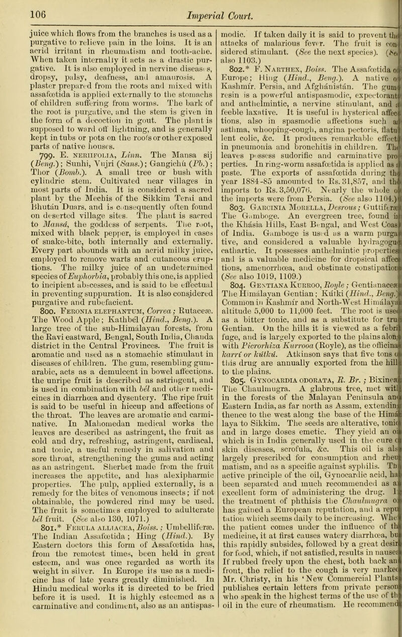 juice which Hows from the branches is used as a purgative to relieve pain in the loins. It is an acrid irritant, in rheumatism and tooth-ache. When taken internally it acts as a drastic pur- gative. It is also employed in nervine diseasi s, dropsy, palsy, deafness, and amaurosis. A plaster prepared from the roots and mixed with assafeetida is applied externally to the stomachs of children suffering from worms. The hark of the root is purgative, and the stem is given in the form of a decoction in gout. The plant is supposed to ward off lightning, and is generally kept in tubs or pots on the roots or other exposed parts of native houses. 799. E. neriifolia, Linn. The Mansa sij (Beng.); Sunhi, Vujri (Sans.); Gangichu (Pb.) : Thor (Bomb.). A small tree or bush with cyliudric stem. Cultivated near villages in most piarts of India. It is considered a sacred plant by the Mechis of the Sikkim Terai and Bhutan Dunrs. and is consequently often found on deserted village sites. The plant is sacred to Mansa, the goddess of serpents. The root, mixed with black pepper, is employed in cases of snake-bite, both internally and externally. Every part abounds with an acrid milky juice, employed to remove warts and cutaneous erup- tions. The milky juice of an undetermined species of Euphorbia, probably this one, is applied to incipient abscesses, and is said to be effectual in preventing suppuration. It is also considered purgative and rubefacient. 800. Fekonia elephantum, Correa; Rutacese. The Wood Apple; Kathbe'l (Hind., Beng.). A large tree of the sub-Himalayan forests, from the Ravi eastward, Bengal, South India, Chanda district in the Central Provinces. The fruit is aromatic and used as a stomachic stimulant in diseases of children. The gum, resembling gum- arabic, acts as a demulcent in bowel affections, the unripe fruit is described as astringent, and is used in combination with bel and other medi- cines in diarrhoea and dysentery. The ripe fruit is said to be useful in hiccup and affections of the throat. The leaves are aromatic and carmi- native. In Mahomedan medical works the leaves are described as astringent, the fruit as cold and dry, refreshing, astringent, cardiacal, and tonic, a useful remedy in salivation and sore throat, strengthening the gums and acting as an astringent. Sherbet made from the fruit increases the appetite, and has alexipharmic properties. The pulp, applied externally, is a remedy for the bites of venomous insects; if not obtainable, the powdered rind may be used. The fruit is sometimes employed to adulterate bel fruit. (See abo 130, 1071.) 801. * Ferula alliacea, Boiss.; Umbellifcrae. The Indian Assafeetida; Hing (Hind.). By Eastern doctors this form of Assafeetida has, from the remotest times, been held in great esteem, and was once regarded as worth its weight in silver. In Europe its use as a medi- cine has of late years greatly diminished. In Hindu medical works it is directed to be fried before it is used. It is highly esteemed as a carminative and condiment, also as an antispas- modic. If taken daily it is said to prevent tin attacks of malarious fever. The fruit is con 1 sidered stimulant. (See the next species). (Set1 also 1103.) 802. * F. Narthex, Boiss. The Assafeetida 01 I Europe; Hing (Hind., Beng.). A native 0vi Kashmir. Persia, and Afghanistan. The gum 6 resin is a powerful antispasmodic, expectorants and anthelmintic, a nervine stimulant, and feeble laxative. It is useful in hysterical affect tions, also in spasmodic affections such adl asthma, whooping-cough, angina pectoris, flatul lent colic, &c. It produces remarkable effectlh in pneumonia and bronchitis in children. Thil leaves possess sudorific and carminative proiH perties. In ring-worm assafeetida is applied as ; I paste. The exports of assafeetida during tha year 1884-85 amounted to Rs. 31,857, ami thin imports to Rs. 3,50,070. Nearly the whole o|i the imports were from Persia. (See also 1104.)i;f 803. Gaecinia Morella, Desrous; Guttiferaaj The Gamboge. An evergreen tree, found hi the Khasia Hills, East Bengal, and West Coas|l! of India. Gamboge is used as a warm purgaij five, and considered a valuable hydragogu.'!:, cathartic. It possesses anthelmintic properties!] and is a valuable medicine for dropsical affect!I tions, ameuorrhcea, and obstinate constipatiorli (See also 1019, 1109.) 804. Gentiana Kureoo , Boyle; Gentianaceajw The Himalayan Gentian; Kutki (Hind., Beng.'U Commonin Kashmir and North-West Himalaya* altitude 5,000 to 11,000 feet. The root is use« as a bitter toDic, and as a substitute for tru|( Gentian. On the hills it is viewed as a febril fuge, and is largely exported to the plains alonn with Picrorhiza Kurrooa (Royle), as the officinaiil karri or kutlcu. Atkinson says that five tons u|l this drug are annually exported from the hill) to the plains. 805. Gynocardia odorata, Ti. Br.; Bixincafc. The Chaulmugra. A glabrous tree, met witl| in the forests of the Malayan Peninsula amli Eastern India, as far north as Assam, extendin thence to the west along the base of the Hima laya to Sikkim. The seeds are alterative, toni( and in large doses emetic. They yield an oi which is in India generally used in the cure c skin diseases, scrofula, &c. This oil is als largely prescribed for consumption and rhen inatism, and as a specific against syphilis. Th active principle of the oil, Gyuoeardic acid, ha been separated and much recommended as a excellent form of administering the drug. 1 the treatment of phthisis the Chaulmugra 0 has gained a European reputation, and a repu tutiou which seems daily to be increasing. Who the patient comes under the influence of th medicine, it at first causes watery diarrhoea, bu this rapidly subsides, followed by a great desir for food, which, if not satisfied, results in nauset If rubbed freely upon the chest, both back an front, the relief to the cough is very marker Mr. Christy, in his ‘New Commercial Plauts publishes certain letters from private person who speak in the highest terms of the use of th oil in the cure of rheumatism, lie recommend