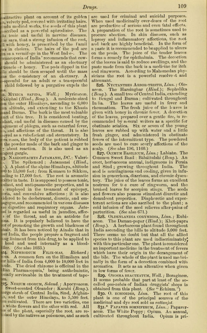 jattractive plant on account of its golden ji, velvety pod, covered with irritating hairs, ndu medical works, the seeds of this plant •scribed as a powerful aphrodisiac. The iis tonic and useful in nervine diseases, ie says, that a strong infusion of the root, 11 with honey, is prescribed by the Tamil us in cholera. The hairs of the pod are ■n as a vermifuge in the West Imhe-. The rrmacopceia of India’ recommends that cow- should be administered as an electuary treacle or honey. The pods dipped in the lie should be then scraped until the mass ns the consistency of an electuary. A -spoonful for an adult or a tea-spoonful child followed by a purgative expels the ■IS. 2. Mybica sapida, Wall.; Myricaceae. ,-Aiiiphal (Hind.. Beng.). A moderate-sized on the outer Himalaya, ascending to 6,000 nn altitude, and extending to the Khasia sand Burma. The bark is the most valuable .uct of this tree. It is considered heating, ulant, and useful in diseases caused by the .ugement of phlegm, such as catarrhal fever, ii, and affections of the throat. It is also oyed as a rubefacient and sternutatory. In ■ra cases, the body of the patient is rubbed the powder made of the bark and ginger to j about reaction. It is also used as an □gent gargle. 3. Nardostachys Jatamansi, DC.\ Valeri- j. The Spikenard ; Jatamansi (Hind., \). A plant of the alpine Himalaya, altitude *•0 to 15,000 feet; from Kumaon to Sikkim, uding to 17,000 feet. The root is aromatic nitter in taste. It is supposed to possess tonic, ulant, and antispasmodic properties, and is 1 employed in the treament of epilepsy, eria, and convulsive affections ; it is also idered to be deobstruent, diuretic, and em- ngogue,and recommended in various diseases ie digestive and respiratory organs. Jata- tsi is regarded as useful in jaundice, afiec- i of the throat, and as an antidote for tms. It is popularly believed to have the er of promoting the growth and blackness of hair. It has been noticed by Ainslie that in :er India, the people prepare a fragrant and ag liniment from this drug, to be applied to head and used internally as a blood- ifier. (See also 1033.) 24. Nephrodium Filix-mas, Bichard; •es. A common fern on the Himalaya and fcr hills of India from 4,000 to 10,000 feet in tide. The dried rhizome is officinal in the ban Pharmacopoeia,’ being anthelmintic, daily serviceable in the treatment of tape- «n. 25- Nerium odorcm, Soland.; Apocynaceae. Sweet-scented Oleander; Karabi (Beng.). urge shrub of Central India, Sind, Afghan- is and the outer Himalaya, to 5,500 feet, in cultivated. There are two varieties, one 1 white flowers and the other with red. All ts of the plant, especially the root, are re- used by the natives as poisonous, and as such are used for criminal and suicidal purposes. When used medicinally over-doses of the root are productive of serious and even fatal effects. A preparation of the root is sometimes used to procure abortion. In skin diseases, such as leprosy and inflammatory affections, the root and hark are highly beneficial. In the form of a paste it is recommended to be applied to ulcers on the penis. The juice of the tender leaves forms a remedy for ophthalmia. The decoction of the leaves is said to reduce swellings, and the paste made from the bark is a medicine for itch and ringworm. According toMahomedan phy- sicians the root is a powerful resolve it and attenuant. 826. Nyctantiies Arbor-tristis, Linn.; Ole- acese. The Harsinghar (Hind.); Sephalika (Beng.). A small tree of Central India, extending to Bengal and Burma; cultivated throughout In lia. The leaves are useful in fever and rheumatism. The fresh juice of the leaves is given with honey in chronic fever. A decoction of the leaves, prepared over a gentle fire, is re- commended by several writers as a specific for obstinate sciatica. Six or seven of the young leaves are rubbed up with water and a little fresh ginger, and administered in obstinate fevers of the intermittent type. The powdered seeds are used to cure scurfy affections of the scalp. (See also 196, 1160.) 827. Ocimum Basilicum, Linn.; Labiatte. The Common Sweet Basil: Babaitulshi (Beng.). An erect, herbaceous annual, indigenous in Persia and Sind ; growing throughout India. The seed is mucilaginous and cooling, given in infu- sion in gonorrhoea, diarrhoea, and chronic dysen- tery. The juice of the leaves forms an excellent nostrum for ti e cure of ringworm, and the bruised leaves for scorpion stings. The seeds and flowers also possess stimulant diuretic and demulcent properties. Diaphoretic and expec- torant actions are also ascribed to the plant; a cold infusion of the seed relieves after-pains of parturition. (See also 671.) 828. Oldenlandia corymbosa, Linn.; Rubi- acete. The Daman-papar (Hind.); Khet-papra (Beng.). A herbaceous plant found throughout India ascending the hills to altitude 5,000 feet. There seems no doubt but that all the allied species to this plant are used indiscriminately^ with this particular one. The plant is considered an important medicine in the treatment of fevers which have their origin in the derangement of the bile. The whole of the plant is used medici- nally in the form of a decoction combined with aromatics. It acts as an alterative when given in low forms of fever. 829. Onosma bracteattjm, Wall.; Boraginese. It seems probable that part at least of the so- culled gao-zabdn of Indian druggists’ shops is obtained from this plant. (See “ Echium. ”) 830. O. EcmoiDES, Linn. The root of this plant is one of the principal sources of the medicinal and dye root sold as rattanjot. 831. * Papaver somniferum, Linn.; Papaver- acern. The White Poppy; Opium. An annual, cultivated throughout India. Opium is pri-