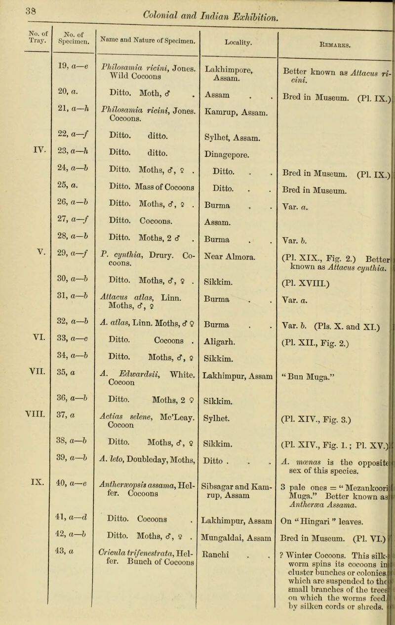No. of Tray. No. of Specimen. Name and Nature of Specimen. Locality. Erma rues. 19, a—e Philmamia ricini, Jones. Wild Cocoons Lakhimpore, Assam. Better known as Attacus ri- cini. 20, a. Ditto. Moth, cf Assam Bred in Museum. (PI. IX.) 21, a—h Philosamia ricini, Jones. Cocoons. Kamrup, Assam. 22, a—f Ditto. ditto. Sylhet, Assam. IY. 23, a—h Ditto. ditto. Dinagepore. 24, a—b Ditto. Moths, cf, 2 . Ditto. Bred in Museum. (PI. IX.) 25, a. Ditto. Mass of Cocoons Ditto. Bred in Museum. 26, a—b Ditto. Moths, cf, s . Burma Var. a. 27, a—f Ditto. Cocoons. Assam. 28, a—b Ditto. Moths, 2 d Burma Var. b. V. 29, a—f P. cynthia, Drury. Co- coons. Near Almora. (PI. XIX., Fig. 2.) Better known as Attacus cynthia. 30, a—b Ditto. Moths, d, 2 . Sikkim. (PI. XVIII.) 31, a—b Attacus atlas, Linn. Moths, cf, 2 Burma Var. a. 32, a—b A. atlas, Linn. Moths, d Q Burma Var. b. (Pis. X. and XI.) VI. 33, a—c Ditto. Cocoons . Aligarh. (Pi. XII., Fig. 2.) 34, a—b Ditto. Moths, d, 2 Sikkim. VII. 35, a A. Edwardsii, White. Cocoon Lakhimpur, Assam “Bun Muga.” 36, a—b Ditto. Moths, 2 9 Sikkim. VIII. 37, a Actias selene, Mc’Leay. Cocoon Sylhet. (PI. XIV., Fig. 3.) 38, a—b Ditto. Moths, <f, 2 Sikkim. (PI. XIV., Fig. 1.; PI. XV.) 39, a—b A. leto, Doubleday, Moths, Ditto . A. mcenas is the opposite sex of this species. IX. 40, a—e Antherxopsit assama, Hei- fer. Cocoons Sibsagar and Kam- rup, Assam 3 pale ones = “ Mezankoori Muga.” Better known as Antherxa Assama. 41, a—cl Ditto. Cocoons Lakhimpur, Assam On “ Hingari ” leaves. 42, a—b Ditto. Moths, cf, $ . Mungaldai, Assam Bred in Museum. (PI. VI.) 43, a Cricula trifenestrata, Hei- fer. Bunch of Cocoons Ranchi ? Winter Cocoons. This silk- 1 worm spins its cocoons in 1 cluster bunches or colonies which are suspended to the 1 email branches of the trees 1 on which the worms feed ■ by silken cords or shreds. iK
