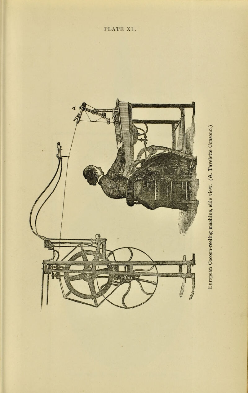 European Cocoon-reeling machine, side view. (A. Tavelette Consono.)