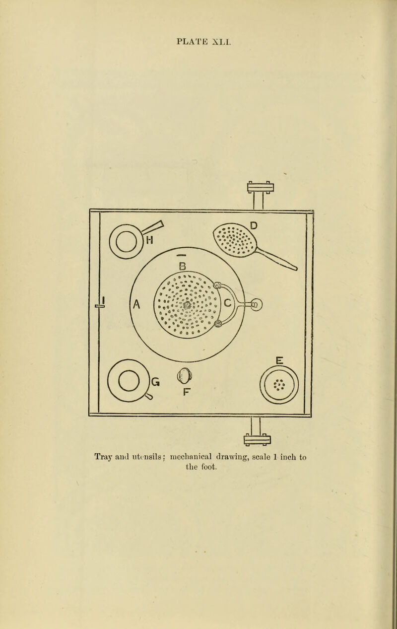 Tray ami utensils: mechanical drawing, scale 1 inch to the foot.