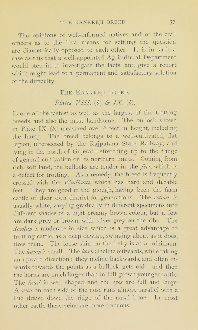 The opinions of well-informed natives and of the civil officers as to the best means for settling the question are diametrically opposed to each other. It is in such a case as this that a well-appointed Agricultural Department would step in to investigate the facts, and give a report which might lead to a permanent and satisfactory solution of the difficulty. The Kankreji Breed, Plates VIII. (b) & IX. (b), Is one of the fastest as well as the largest of the trotting breeds, and also the most handsome. The bullock shown in Plate IX. (b.) measured over 6 feet in height, including the hump. The breed belongs to a well-cultivated, flat region, intersected by the Rajputana State Railway, and lying in the north of Gujerat—stretching up to the fringe of general cultivation on its northern limits. Coming from rich, soft land, the bullocks are tender in the feet, which is a defect for trotting. As a remedy, the breed is frequently crossed with the Wadhiali, which has hard and durable feet. They are good in the plough, having been the farm cattle of their own district for generations. The colour is usually white, varying gradually in different specimens into different shades of a light creamy-brown colour, but a few are dark grey or brown, with silver grey on the ribs. The dewlap is moderate in size, which is a great advantage to trotting cattle, as a deep dewlap, swinging about as it does, tires them. The loose skin on the belly is at a minimum. The hump is small. The horns incline outwards, while taking an upward direction ; they incline backwards, and often in- wards towards the points as a bullock gets old—and then the horns are much larger than in full-grown younger cattle. The head is well shaped, and the eyes are full and large. A vein on each side of the nose runs almost parallel with a line drawn down the ridge of the nasal bone. In most other cattle these veins arc more tortuous.