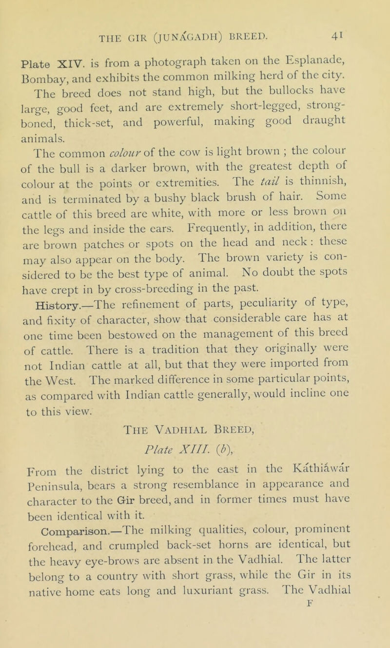 Plate XIV. is from a photograph taken on the Esplanade, Bombay, and exhibits the common milking herd of the city. The breed does not stand high, but the bullocks have large, good feet, and are extremely short-legged, strong- boned, thick-set, and powerful, making good draught animals. The common colour oi the cow is light brown ; the colour of the bull is a darker brown, with the greatest depth of colour at the points or extremities. The tail is thinnish, and is terminated by a bushy black brush of hair. Some cattle of this breed are white, with more or less brown on the legs and inside the ears. Frequently, in addition, there are brown patches or spots on the head and neck : these may also appear on the body. The brown variety is con- sidered to be the best type of animal. No doubt the spots have crept in by cross-breeding in the past. History.—The refinement of parts, peculiarity of type, and fixity of character, show that considerable care has at one time been bestowed on the management of this breed of cattle. There is a tradition that they originally were not Indian cattle at all, but that they were imported from the West. The marked difference in some particular points, as compared with Indian cattle generally, would incline one to this view. The Vadiiial Breed, Plate XIII. (/-'), From the district lying to the east in the Kathiawar Peninsula, bears a strong resemblance in appearance and character to the Gir breed, and in former times must have been identical with it. Comparison.—The milking qualities, colour, prominent forehead, and crumpled back-set horns are identical, but the heavy eye-brows are absent in the Vadhial. The latter belong to a country with short grass, while the Gir in its native home cats long and luxuriant grass. The Vadhial F