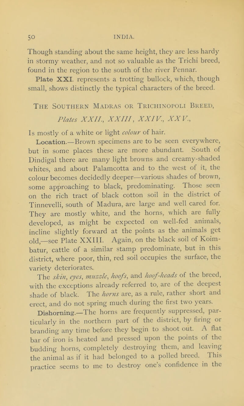 Though standing about the same height, they are less hardy in stormy weather, and not so valuable as the Trichi breed, found in the region to the south of the river Pcnnar. Plate XXI. represents a trotting bullock, which, though small, shows distinctly the typical characters of the breed. The Southern Madras or Trichinopoli Breed, Plates XXII., XXIII, XXIV., XXV., Is mostly of a white or light colour of hair. Location.—Brown specimens are to be seen everywhere, but in some places these are more abundant. South of Dindigal there are many light browns and crcamy-shadcd whites, and about Palamcotta and to the west of it, the colour becomes decidedly deeper—various shades of brown, some approaching to black, predominating. Those seen on the rich tract of black cotton soil in the district of Tinnevelli, south of Madura, are large and well cared for. They are mostly white, and the horns, which are fully developed, as might be expected on well-fed animals, incline slightly forward at the points as the animals get old,—See Plate XXIII. Again, on the black soil of Koim- batur, cattle of a similar stamp predominate, but in this district, where poor, thin, red soil occupies the surface, the variety deteriorates. The skin, eyes, muzzle, hoofs, and hoof-heads of the breed, with the exceptions already referred to, are of the deepest shade of black. The horns are, as a rule, rather short and erect, and do not spring much during the hist two years. Dishorning.—The horns arc frequently suppressed, par- ticularly in the northern part of the distiict, by filing 01 branding any time before they begin to shoot out. A flat bar of iron is heated and pressed upon the points of the budding horns, completely destroying them, and leaving the animal as if it had belonged to a polled breed. 1 his practice seems to me to destroy one s confidence in the