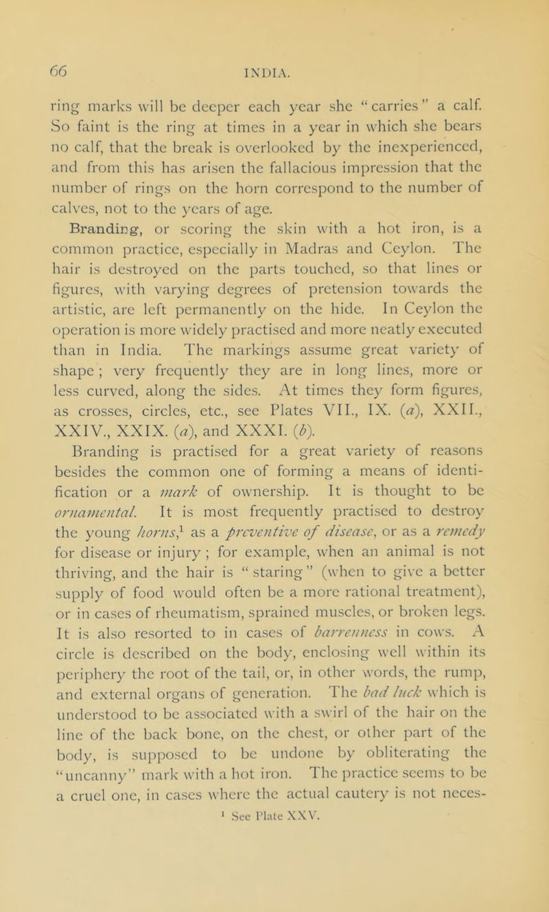 ring marks will be deeper each year she “carries” a calf. So faint is the ring at times in a year in which she bears no calf, that the break is overlooked by the inexperienced, and from this has arisen the fallacious impression that the number of rings on the horn correspond to the number of calves, not to the years of age. Branding, or scoring the skin with a hot iron, is a common practice, especially in Madras and Ceylon. The hair is destroyed on the parts touched, so that lines or figures, with varying degrees of pretension towards the artistic, are left permanently on the hide. In Ceylon the operation is more widely practised and more neatly executed than in India. The markings assume great variety of shape ; very frequently they are in long lines, more or less curved, along the sides. At times they form figures, as crosses, circles, etc., see Plates VII., IX. (a), XXII., XXIV, XXIX. 0), and XXXI. (6). Branding is practised for a great variety of reasons besides the common one of forming a means of identi- fication or a mark of ownership. It is thought to be ornamental. It is most frequently practised to destroy the young horns} as a preventive of disease, or as a remedy for disease or injury ; for example, when an animal is not thriving, and the hair is “staring” (when to give a better supply of food would often be a more rational treatment), or in cases of rheumatism, sprained muscles, or broken legs. It is also resorted to in cases of barrenness in cows. A circle is described on the body, enclosing well within its periphery the root of the tail, or, in other words, the rump, and external organs of generation. The bad /nek which is understood to be associated with a swirl of the hair on the line of the back bone, on the chest, or other part of the body, is supposed to be undone by obliterating the “uncanny” mark with a hot iron. The practice seems to be a cruel one, in cases where the actual cautery is not neces- 1 See Plate XXV.