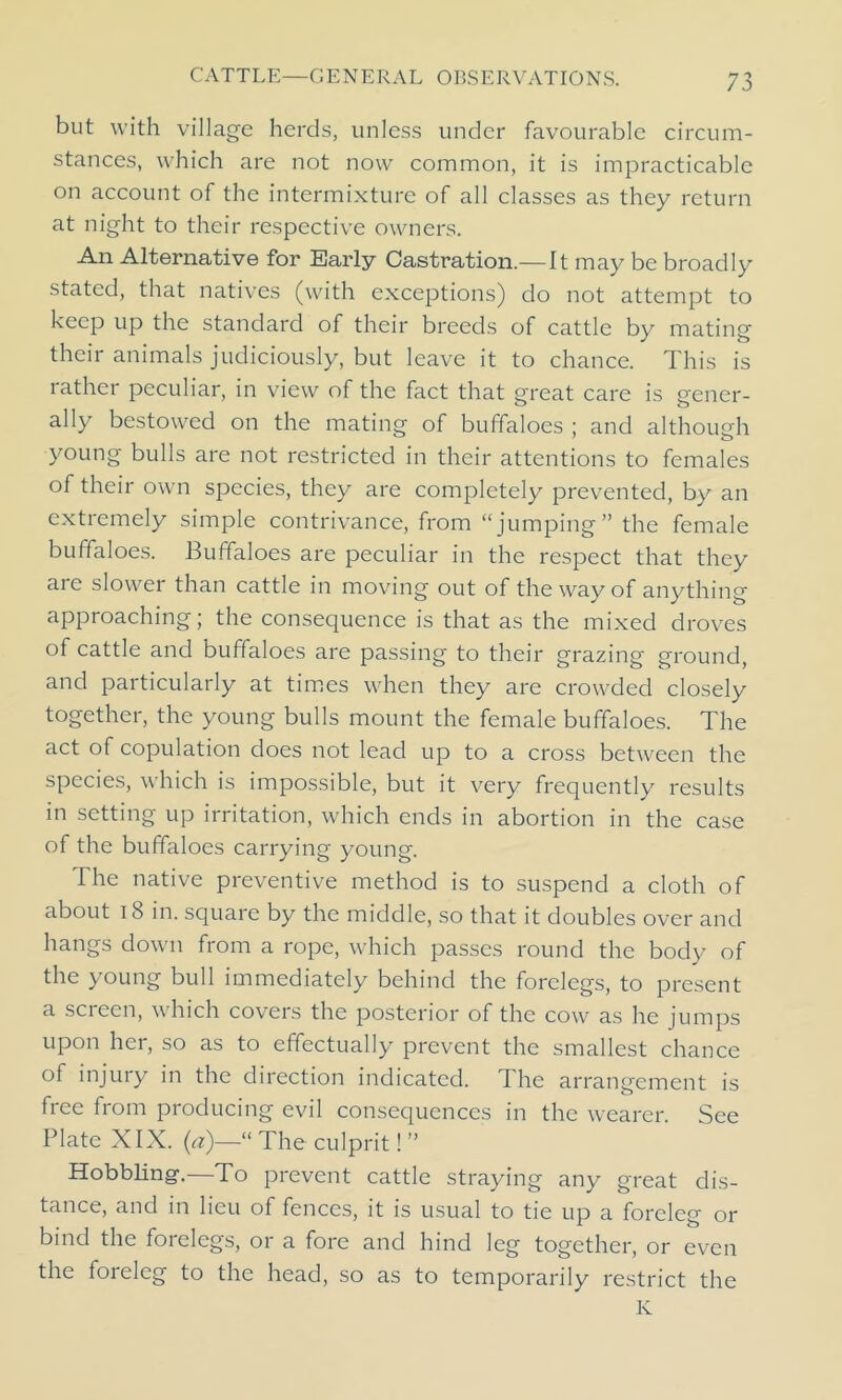 but with village herds, unless under favourable circum- stances, which are not now common, it is impracticable on account of the intermixture of all classes as they return at night to their respective owners. An Alternative for Early Castration.— It may be broadly stated, that natives (with exceptions) do not attempt to keep up the standard of their breeds of cattle by mating their animals judiciously, but leave it to chance. This is rather peculiar, in view of the fact that great care is gener- ally bestowed on the mating of buffaloes ; and although young bulls are not restricted in their attentions to females of their own species, they are completely prevented, by an extremely simple contrivance, from “jumping” the female buffaloes. Buffaloes are peculiar in the respect that they are slower than cattle in moving out of the way of anything approaching; the consequence is that as the mixed droves of cattle and buffaloes are passing to their grazing ground, and particularly at times when they are crowded closely together, the young bulls mount the female buffaloes. The act of copulation does not lead up to a cross between the species, which is impossible, but it very frequently results in setting up irritation, which ends in abortion in the case of the buffaloes carrying young. I he native preventive method is to suspend a cloth of about 18 in. square by the middle, so that it doubles over and hangs down from a rope, which passes round the body of the young bull immediately behind the forelegs, to present a scieen, which covers the posterior of the cow as he jumps upon her, so as to effectually prevent the smallest chance of injury in the direction indicated. The arrangement is free from producing evil consequences in the wearer. See Plate XIX. (a)—“ The culprit! ” Hobbling-.—To prevent cattle straying any great dis- tance, and in lieu of fences, it is usual to tie up a foreleg or bind the forelegs, or a fore and hind leg together, or even the foreleg to the head, so as to temporarily restrict the K