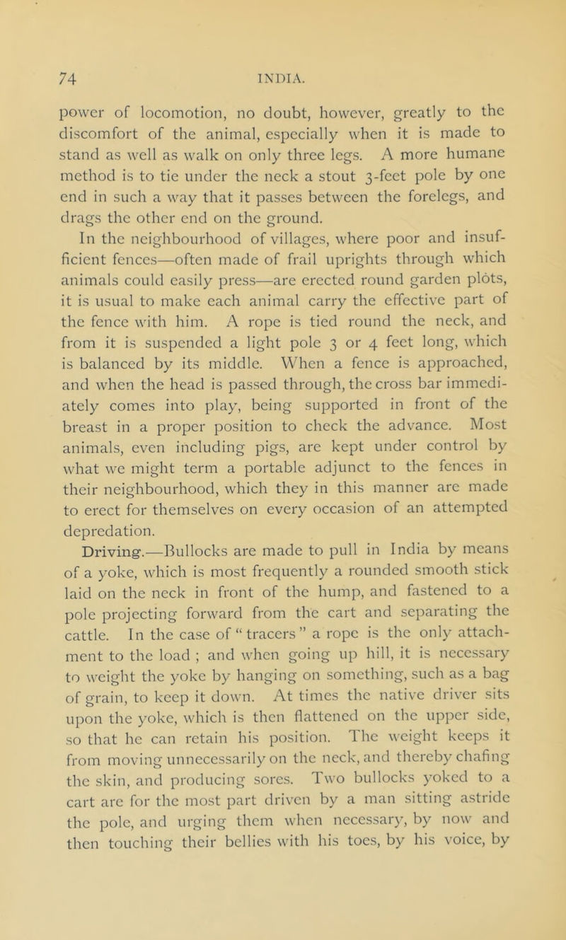 power of locomotion, no doubt, however, greatly to the discomfort of the animal, especially when it is made to stand as well as walk on only three legs. A more humane method is to tie under the neck a stout 3-feet pole by one end in such a way that it passes between the forelegs, and drags the other end on the ground. In the neighbourhood of villages, where poor and insuf- ficient fences—often made of frail uprights through which animals could easily press—are erected round garden plots, it is usual to make each animal carry the effective part of the fence with him. A rope is tied round the neck, and from it is suspended a light pole 3 or 4 feet long, which is balanced by its middle. When a fence is approached, and when the head is passed through, the cross bar immedi- ately comes into play, being supported in front of the breast in a proper position to check the advance. Most animals, even including pigs, are kept under control by what we might term a portable adjunct to the fences in their neighbourhood, which they in this manner are made to erect for themselves on every occasion of an attempted depredation. Driving.—Bullocks are made to pull in India by means of a yoke, which is most frequently a rounded smooth stick laid on the neck in front of the hump, and fastened to a pole projecting forward from the cart and separating the cattle. In the case of “ tracers ” a rope is the only attach- ment to the load ; and when going up hill, it is necessary to weight the yoke by hanging on something, such as a bag of grain, to keep it down. At times the native driver sits upon the yoke, which is then flattened on the upper side, so that he can retain his position. 1 he weight keeps it from moving unnecessarily on the neck, and thereby chafing the skin, and producing sores. Two bullocks yoked to a cart arc for the most part driven by a man sitting astride the pole, and urging them when necessary, by now and then touching their bellies with his toes, by his voice, by