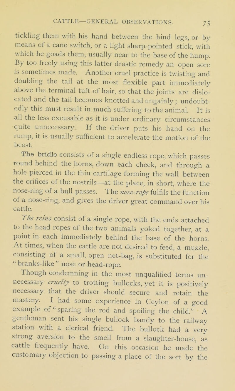 tickling them with his hand between the hind legs, or by means of a cane switch, or a light sharp-pointed stick, with which he goads them, usually near to the base of the hump. By too freely using this latter drastic remedy an open sore is sometimes made. Another cruel practice is twisting and doubling the tail at the most flexible part immediately above the terminal tuft of hair, so that the joints are dislo- cated and the tail becomes knotted and ungainly; undoubt- edly this must result in much suffering to the animal. It is all the less excusable as it is under ordinary circumstances quite unnecessary. If the driver puts his hand on the rump, it is usually sufficient to accelerate the motion of the beast. The bridle consists of a single endless rope, which passes round behind the horns, down each cheek, and through a hole pierced in the thin cartilage forming the wall between the oiifices of the nostrils—at the place, in short, where the nose-ring of a bull passes. The nose-rope fulfils the function of a nose-ring, and gives the driver great command over his cattle. The reins consist of a single rope, with the ends attached to the head ropes of the two animals yoked together, at a point in each immediately behind the base of the horns. At times, when the cattle are not desired to feed, a muzzle, consisting of a small, open net-bag, is substituted for the “ branks-like ” nose or head-rope. Though condemning in the most unqualified terms un- necessary cruelty to trotting bullocks, yet it is positively necessary that the driver should secure and retain the mastery. I had some experience in Ceylon of a good example of “sparing the rod and spoiling the child.” A gentleman sent his single bullock bandy to the railway station with a clerical friend. The bullock had a very strong aversion to the smell from a slaughter-house, as cattle fiequently have. On this occasion he made the customary objection to passing a place of the sort by the