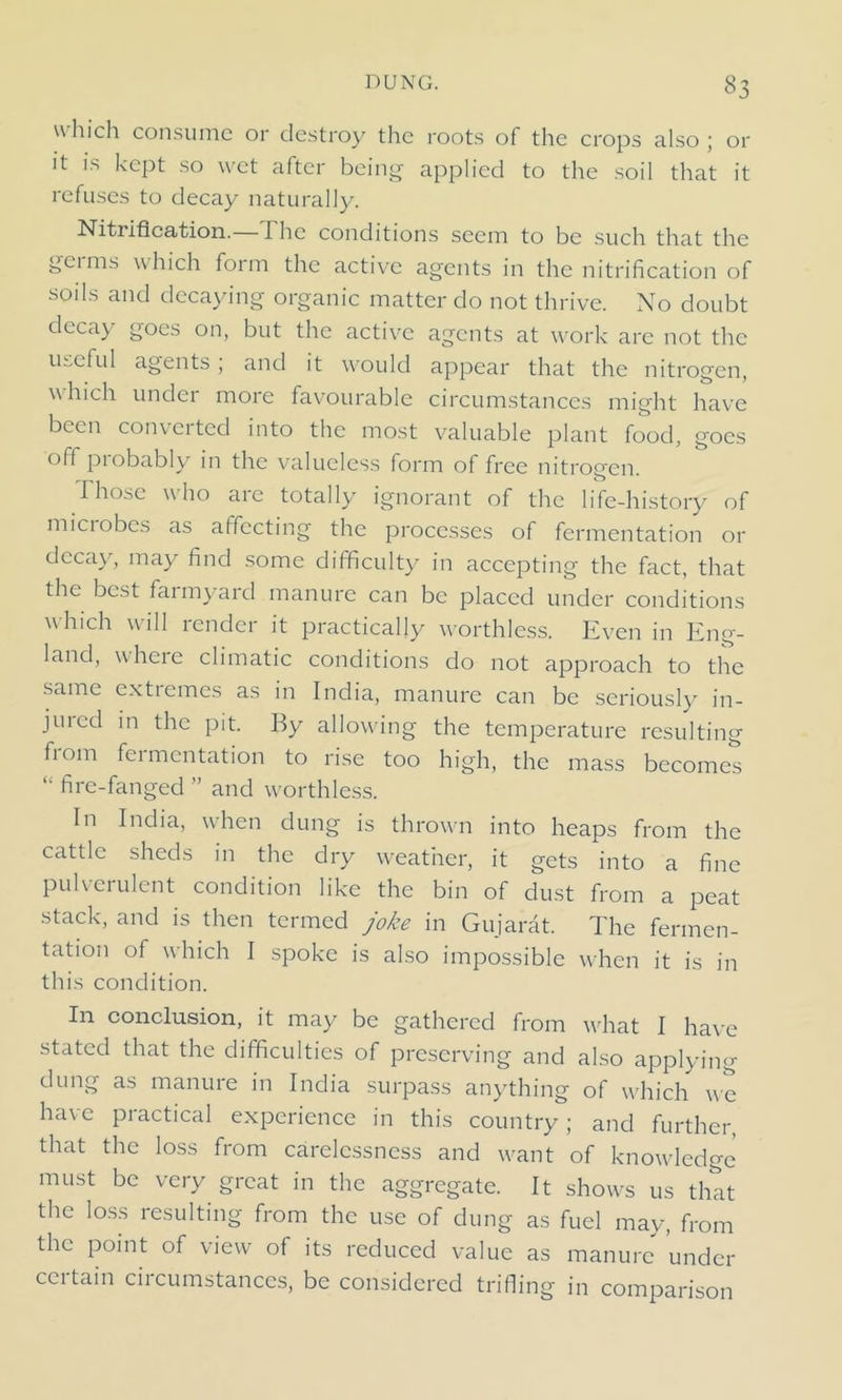 which consume or destroy the roots of the crops also; or it is kept so wet after being applied to the soil that it refuses to decay naturally. Nitiification. I he conditions seem to be such that the gcims which form the active agents in the nitrification of soils and decaying organic matter do not thrive. No doubt decay goes on, but the active agents at work are not the useful agents, and it would appear that the nitrogen, which under more favourable circumstances might have been converted into the most valuable plant food, goes off probably in the valueless form of free nitrogen. .Those who aie totally ignorant of the life-history of microbes as affecting the processes of fermentation 01- decay, may find some difficulty in accepting the fact, that the best farmyard manure can be placed under conditions which will lenclci it practically worthless. Even in Eng- land, where climatic conditions do not approach to the same cxtiernes as in India, manure can be seriously in- jured in the pit. By allowing the temperature resulting fiom fermentation to rise too high, the mass becomes “ fire-fanged ” and worthless. In India, when dung is thrown into heaps from the cattle sheds in the dry weather, it gets into a fine pulverulent condition like the bin of dust from a peat stack, and is then termed joke in Gujarat. The fermen- tation of which I spoke is also impossible when it is in this condition. In conclusion, it may be gathered from what I have stated that the difficulties of preserving and also applying dung as manure in India surpass anything of which we have practical experience in this country; and further, that the loss from carelessness and want of knowledge must be very great in the aggregate. It shows us that the loss resulting from the use of dung as fuel may, from the point of view of its reduced value as manure under ccitain circumstances, be considered trifling in comparison
