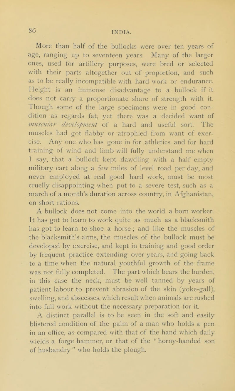 More than half of the bullocks were over ten years of age, ranging up to seventeen years. Many of the larger ones, used for artillery purposes, were bred or selected with their parts altogether out of proportion, and such as to be really incompatible with hard work or endurance. Height is an immense disadvantage to a bullock if it does not carry a proportionate share of strength with it. I hough some of the large specimens were in good con- dition as regards fat, yet there was a decided want of muscular development of a hard and useful sort. The muscles had got flabby or atrophied from want of exer- cise. Any one who has gone in for athletics and for hard training of wind and limb will fully understand me when l say, that a bullock kept dawdling with a half empty military cart along a few miles of level road per day, and never employed at real good hard work, must be most cruelly disappointing when put to a severe test, such as a march of a month’s duration across country, in Afghanistan, on short rations. A bullock does not come into the world a born worker. It has got to learn to work quite as much as a blacksmith has got to learn to shoe a horse ; and like the muscles of the blacksmith’s arms, the muscles of the bullock must be developed by exercise, and kept in training and good order by frequent practice extending over years, and going back to a time when the natural youthful growth of the frame was not fully completed. The part which bears the burden, in this case the neck, must be well tanned by years of patient labour to prevent abrasion of the skin (yoke-gall), swelling, and abscesses, which result when animals arc rushed into full work without the necessary preparation for it. A distinct parallel is to be seen in the soft and easily blistered condition of the palm of a man who holds a pen in an office, as compared with that of the hand which daily wields a forge hammer, or that of the “horny-handed son of husbandry ” who holds the plough.