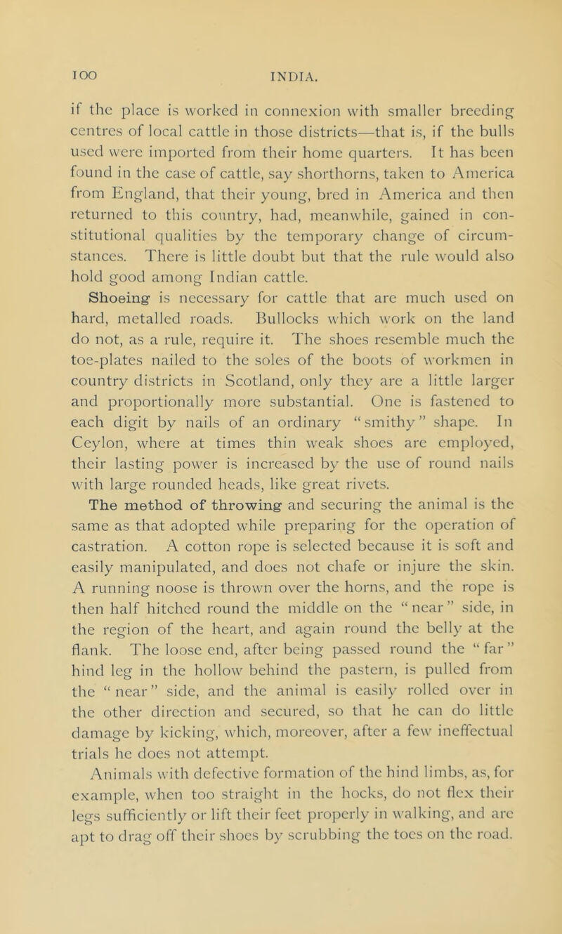 if the place is worked in connexion with smaller breeding centres of local cattle in those districts—that is, if the bulls used were imported from their home quarters. It has been found in the case of cattle, say shorthorns, taken to America from England, that their young, bred in America and then returned to this country, had, meanwhile, gained in con- stitutional qualities by the temporary change of circum- stances. There is little doubt but that the rule would also hold good among Indian cattle. Shoeing1 is necessary for cattle that arc much used on hard, metalled roads. Bullocks which work on the land do not, as a rule, require it. The shoes resemble much the toe-plates nailed to the soles of the boots of workmen in country districts in Scotland, only they are a little larger and proportionally more substantial. One is fastened to each digit by nails of an ordinary “smithy” shape. In Ceylon, where at times thin weak shoes are employed, their lasting power is increased by the use of round nails with large rounded heads, like great rivets. The method of throwing and securing the animal is the same as that adopted while preparing for the operation of castration. A cotton rope is selected because it is soft and easily manipulated, and does not chafe or injure the skin. A running noose is thrown over the horns, and the rope is then half hitched round the middle on the “near” side, in the region of the heart, and again round the belly at the flank. The loose end, after being passed round the “far” hind leg in the hollow behind the pastern, is pulled from the “near” side, and the animal is easily rolled over in the other direction and secured, so that he can do little damage by kicking, which, moreover, after a few ineffectual trials he does not attempt. Animals with defective formation of the hind limbs, as, for example, when too straight in the hocks, do not flex their legs sufficiently or lift their feet properly in walking, and arc apt to drag off their shoes by scrubbing the toes on the road.
