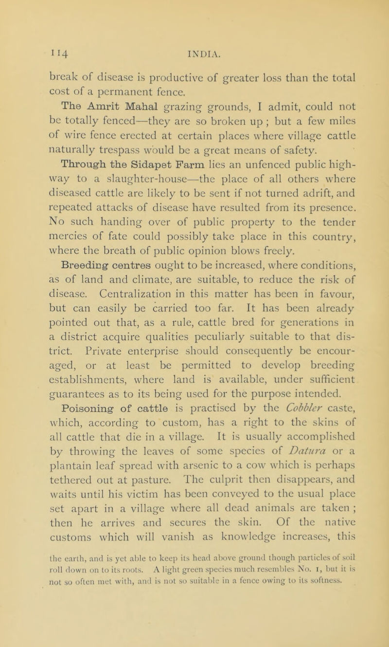 break of disease is productive of greater loss than the total cost of a permanent fence. The Amrit Mahal grazing grounds, I admit, could not be totally fenced—they are so broken up ; but a few miles of wire fence erected at certain places where village cattle naturally trespass would be a great means of safety. Through the Sidapet Farm lies an unfenced public high- way to a slaughter-house—the place of all others where diseased cattle arc likely to be sent if not turned adrift, and repeated attacks of disease have resulted from its presence. No such handing over of public property to the tender mercies of fate could possibly take place in this country, where the breath of public opinion blows freely. Breeding centres ought to be increased, where conditions, as of land and climate, are suitable, to reduce the risk of disease. Centralization in this matter has been in favour, but can easily be carried too far. It has been already pointed out that, as a rule, cattle bred for generations in a district acquire qualities peculiarly suitable to that dis- trict. Private enterprise should consequently be encour- aged, or at least be permitted to develop breeding establishments, where land is available, under sufficient guarantees as to its being used for the purpose intended. Poisoning of cattle is practised by the Cobbler caste, which, according to custom, has a right to the skins of all cattle that die in a village. It is usually accomplished by throwing the leaves of some species of Datura or a plantain leaf spread with arsenic to a cow which is perhaps tethered out at pasture. The culprit then disappears, and waits until his victim has been conveyed to the usual place set apart in a village where all dead animals are taken ; then he arrives and secures the skin. Of the native customs which will vanish as knowledge increases, this the earth, and is yet able to keep its head above ground though particles of soil roll down on to its roots. A light green species much resembles No. 1, but it is not so often met with, and is not so suitable in a fence owing to its softness.