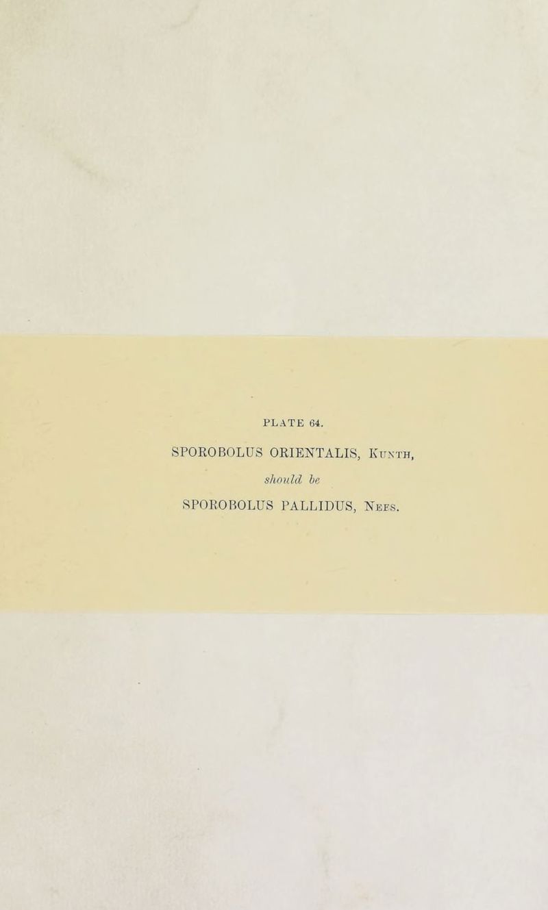 SPOROBOLUS ORIENTALS, Ktjxth, should be SPOROBOLUS PALLIDUS, Nees.