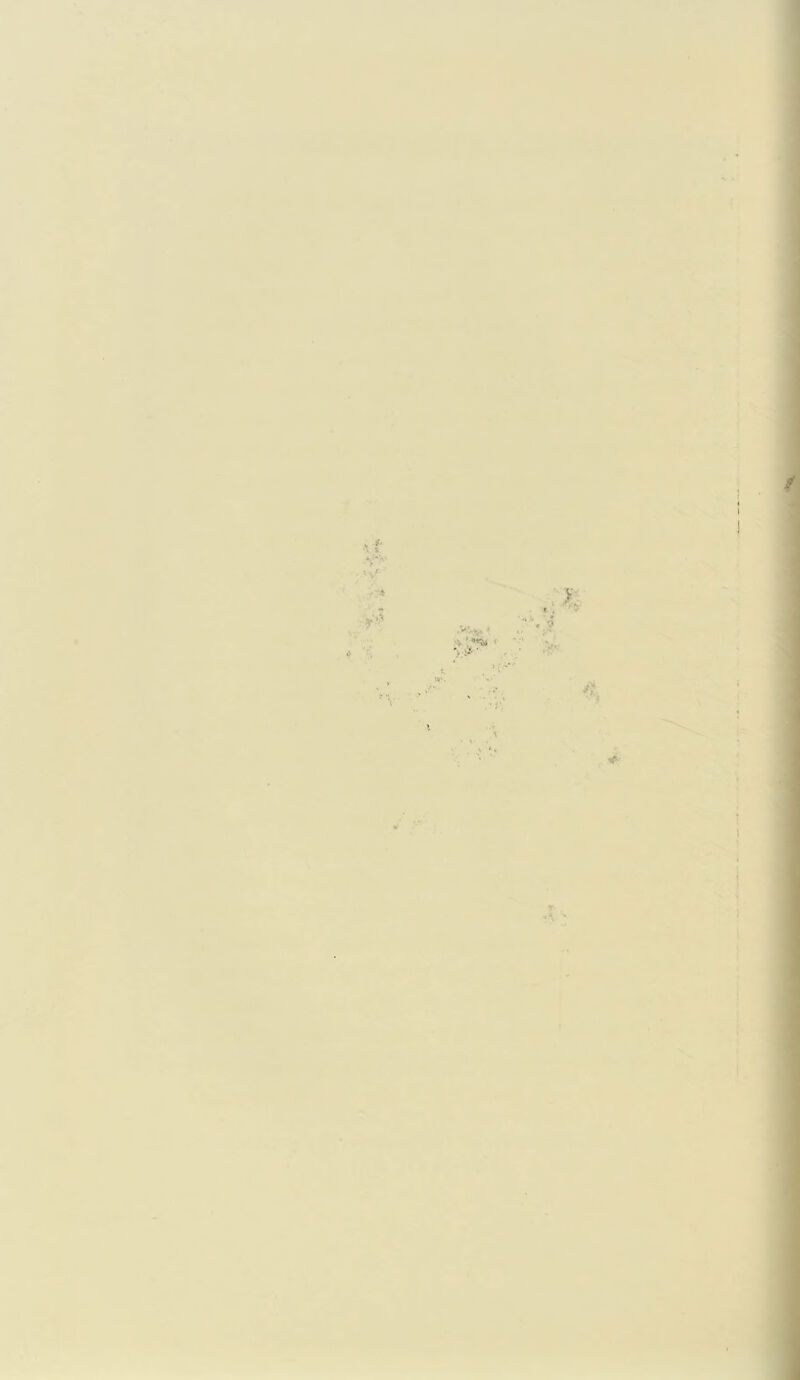 ■>* .: yv V . *; t. . . ■ ('* '