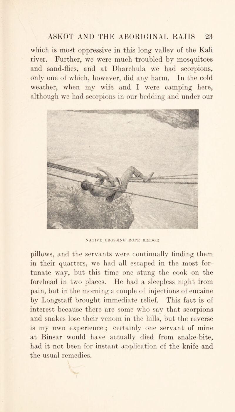 which is most oppressive in this long valley of the Kali river. Further, we were much troubled by mosquitoes and sand-flies, and at Dharchula we had scorpions, only one of which, however, did any harm. In the cold weather, when my wife and I were camping here, although we had scorpions in our bedding and under our NATIVE CROSSING ROTE BRIDGE pillows, and the servants were continually finding them in their quarters, we had all escaped in the most for- tunate way, but this time one stung the cook on the forehead in two places. He had a sleepless night from pain, but in the morning a couple of injections of eucaine by Longstaff brought immediate relief. This fact is of interest because there are some who say that scorpions and snakes lose their venom in the hills, but the reverse is my own experience ; certainly one servant of mine at Binsar would have actually died from snake-bite, had it not been for instant application of the knife and the usual remedies.