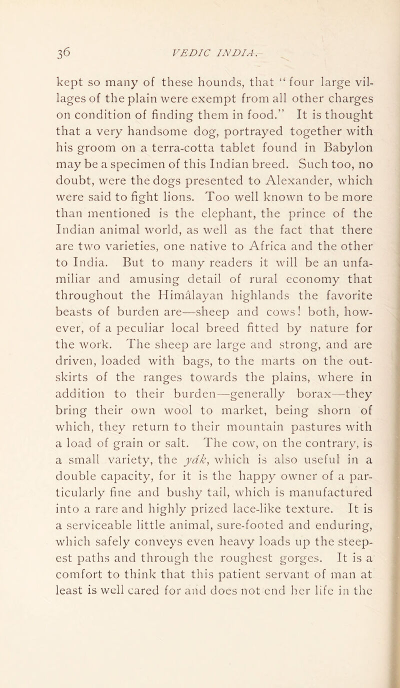 kept so many of these hounds, that “ four large vil- lages of the plain were exempt from all other charges on condition of finding them in food.” It is thought that a very handsome dog, portrayed together with his groom on a terra-cotta tablet found in Babylon may be a specimen of this Indian breed. Such too, no doubt, were the dogs presented to Alexander, which were said to fight lions. Too well known to be more than mentioned is the elephant, the prince of the Indian animal world, as well as the fact that there are two varieties, one native to Africa and the other to India. But to many readers it will be an unfa- miliar and amusing detail of rural economy that throughout the Himalayan highlands the favorite beasts of burden are—sheep and cows! both, how- ever, of a peculiar local breed fitted by nature for the work. The sheep are large and strong, and are driven, loaded with bags, to the marts on the out- skirts of the ranges towards the plains, where in addition to their burden—generally borax—they bring their own wool to market, being shorn of which, they return to their mountain pastures with a load of grain or salt. The cow, on the contrary, is a small variety, the yak, which is also useful in a double capacity, for it is the happy owner of a par- ticularly fine and bushy tail, which is manufactured into a rare and highly prized lace-like texture. It is a serviceable little animal, sure-footed and enduring, which safely conveys even heavy loads up the steep- est paths and through the roughest gorges. It is a comfort to think that this patient servant of man at least is well cared for and does not end her life in the