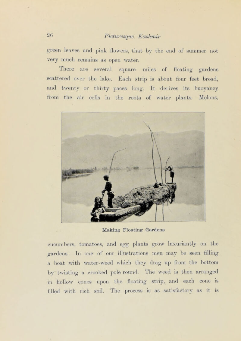2() ^reen leaves and pink dowers, that Ijj the end of sunnner not very much remains as open water. There are several scpiare miles of doating gardens scattered over the lake. Each strip is about four feet broad, and twenty or thirty paces long. It derives its buoyancy from the air cells in the roots of water plants. Melons, Making Floating Gardens cucumbers, tomatoes, and egg plants grow luxuriantly on the garden.s. In one of our illustrations men may be seen dlling a Ijoat with water-weed which they drag up from the bottom by twisting a crooked ])ole round, 'fhe weed is then arranged in hollow cones upon the doating strip, and each cone is dlled with rich soil. The process is as satisfactory as it is