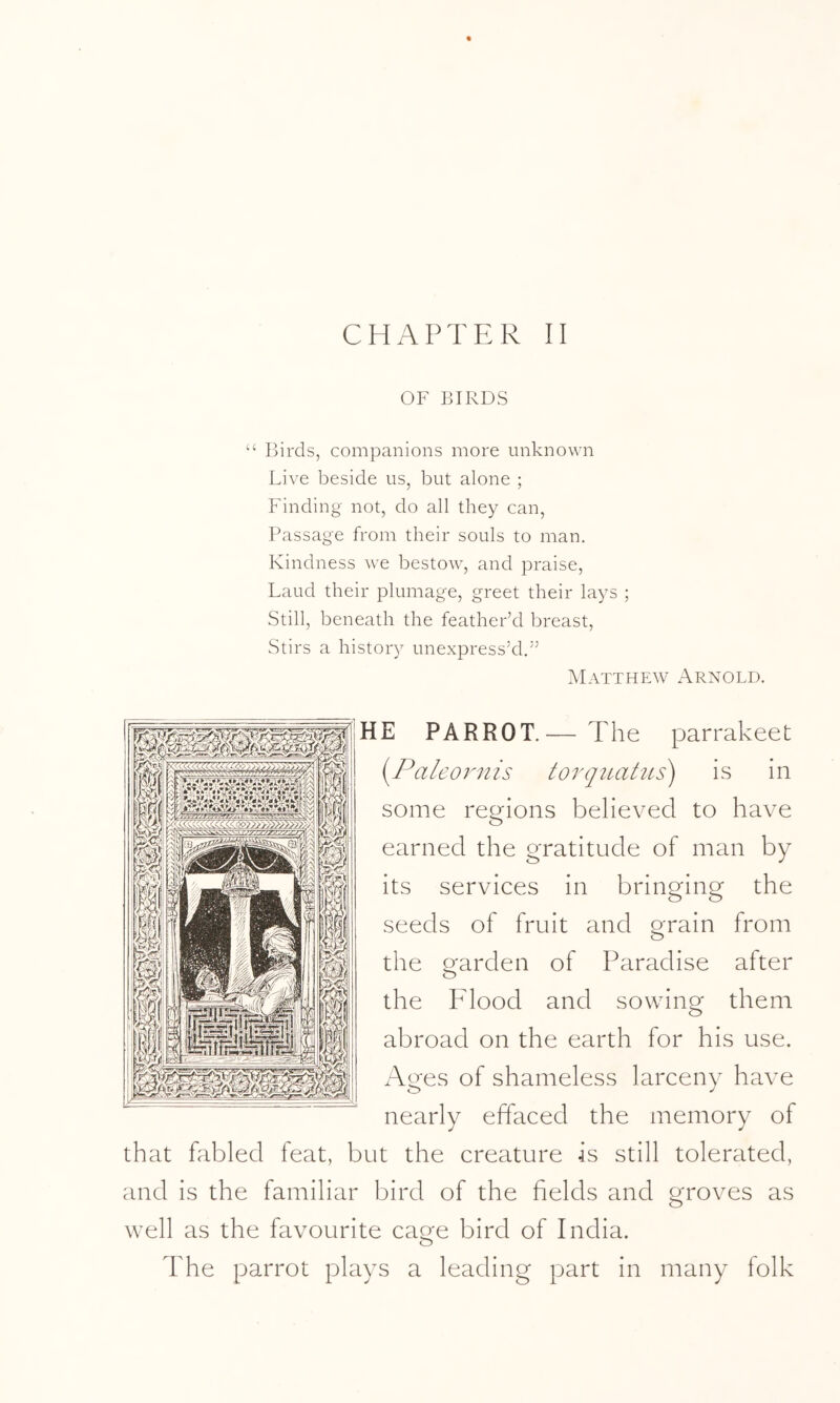 OF JilRDS “ I3irds, companions more unknown Live beside us, but alone ; Finding not, do all they can. Passage from their souls to man. Kindness we bestow, and praise. Laud their plumage, greet their lays ; Still, beneath the feather’d breast, vStirs a history unexpress’d.” Matthew Arnold. HE PARROT.— The parrakeet iyPaleornis torquahts^ is in some regions believed to have earned the gratitude of man by its services in bringing the seeds of fruit and grain from the garden of Paradise after the P'lood and sowing them abroad on the earth for his use. Ages of shameless larceny have nearly effaced the memory of that fabled feat, but the creature is still tolerated, and is the familiar bird of the fields and groves as well as the favourite cage bird of India. The parrot plays a leading part in many folk