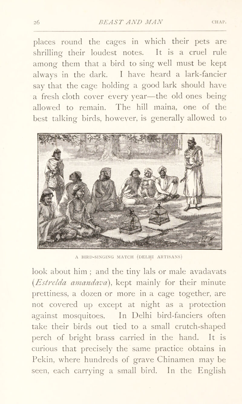 places round the cages in which their pets are shrillinof their loudest notes. It is a cruel rule among them that a bird to sing well must be kept always in the dark. I have heard a lark-fancier say that the cage holding a good lark should have a fresh cloth cover every year—the old ones being allowed to remain. The hill maina, one of the best talking birds, however, is generally allowed to A BIRD-SINGING MATCH (DELHI ARTISANS) look about him ; and the tiny lals or male avadavats [^Estrelda arnandavd), kept mainly for their minute prettiness, a dozen or more in a cage together, are not covered up except at night as a protection against mosquitoes. In Delhi bird-fanciers often take their birds out tied to a small crutch-shaped perch of bright brass carried in the hand. It is curious that precisely the same practice obtains in Pekin, where hundreds of grave Chinamen may be seen, each carrying a small bird. In the English